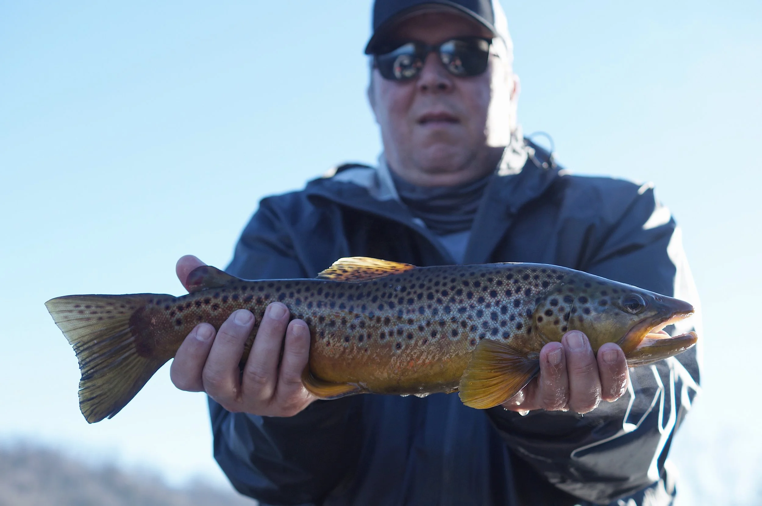 E8860537-CFC4-478C-9074-6F47774EC689.jpeg