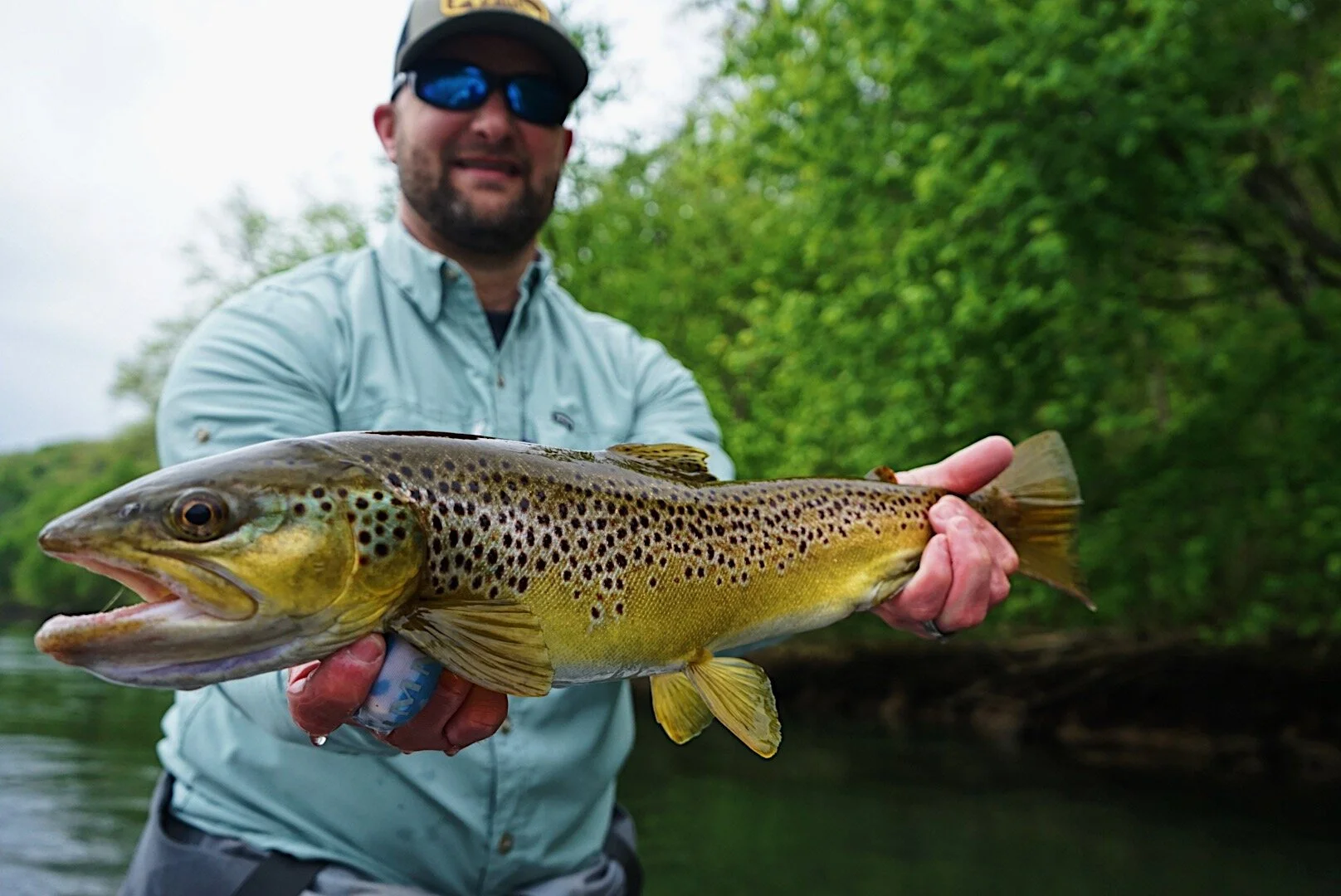 White river fly fishing guides