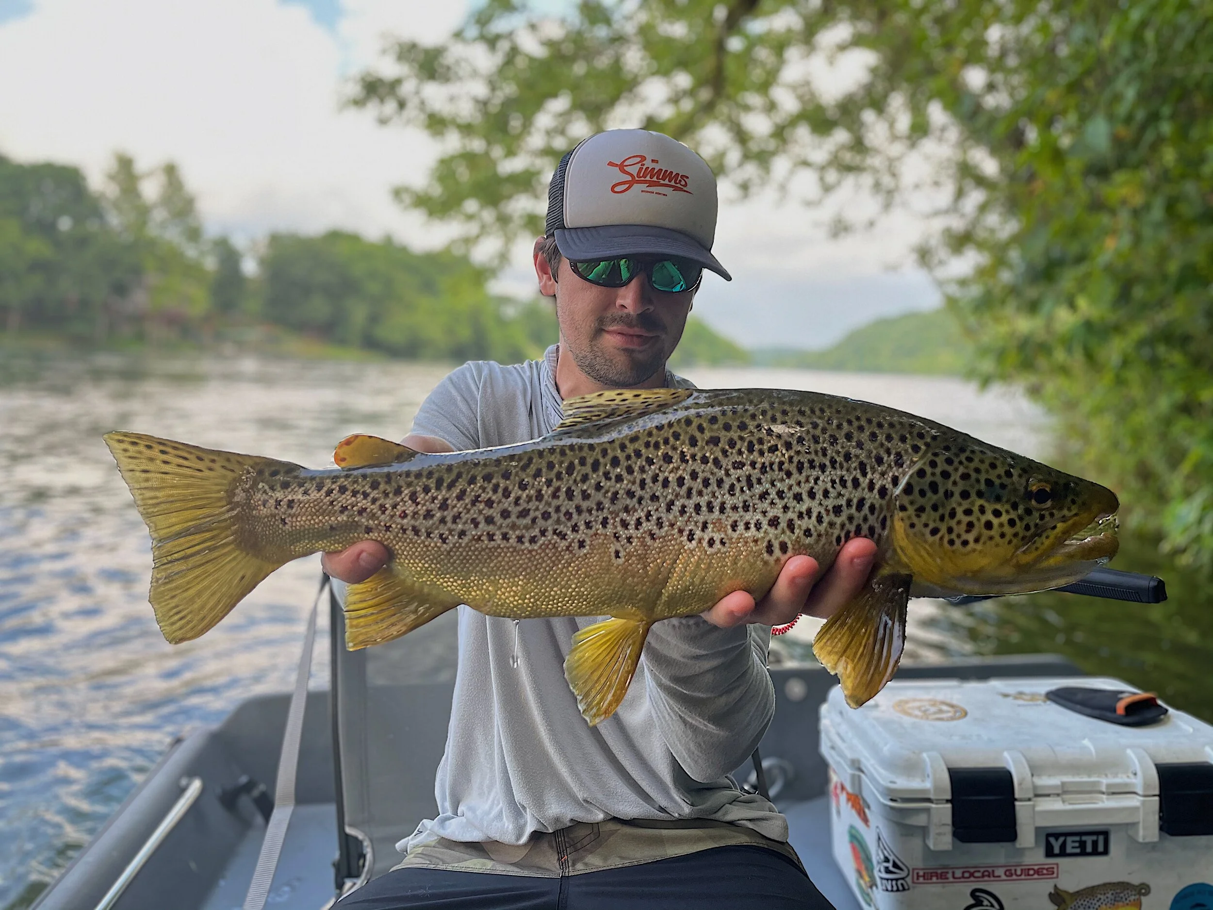 White River Brown Trout