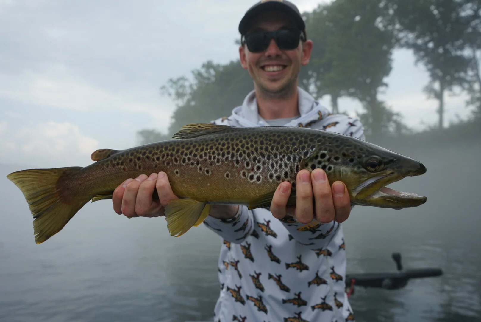 Brown Trout