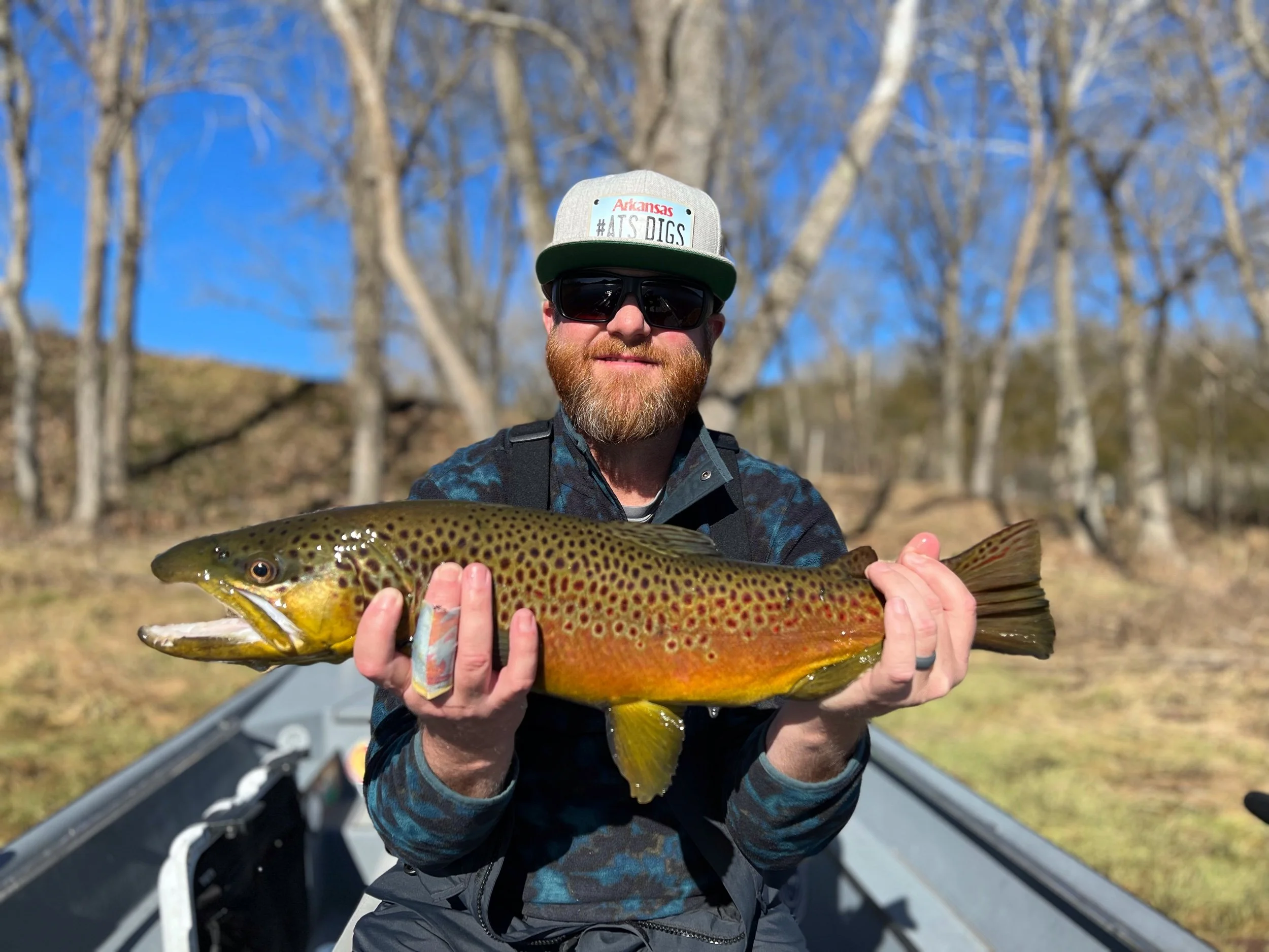 Arkansas Trout