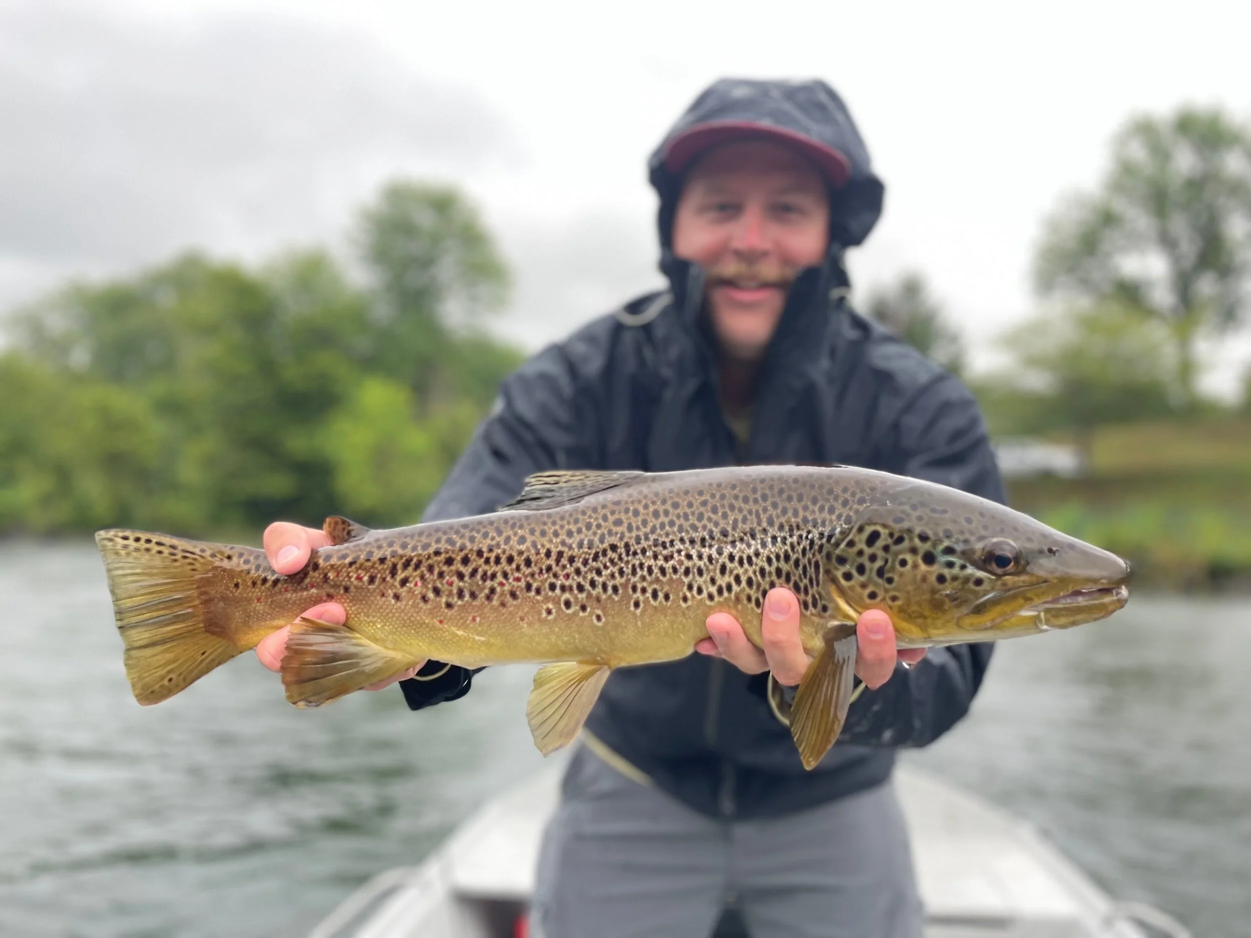 70E4D96F-541C-4205-A9FE-D681C80FE4A1