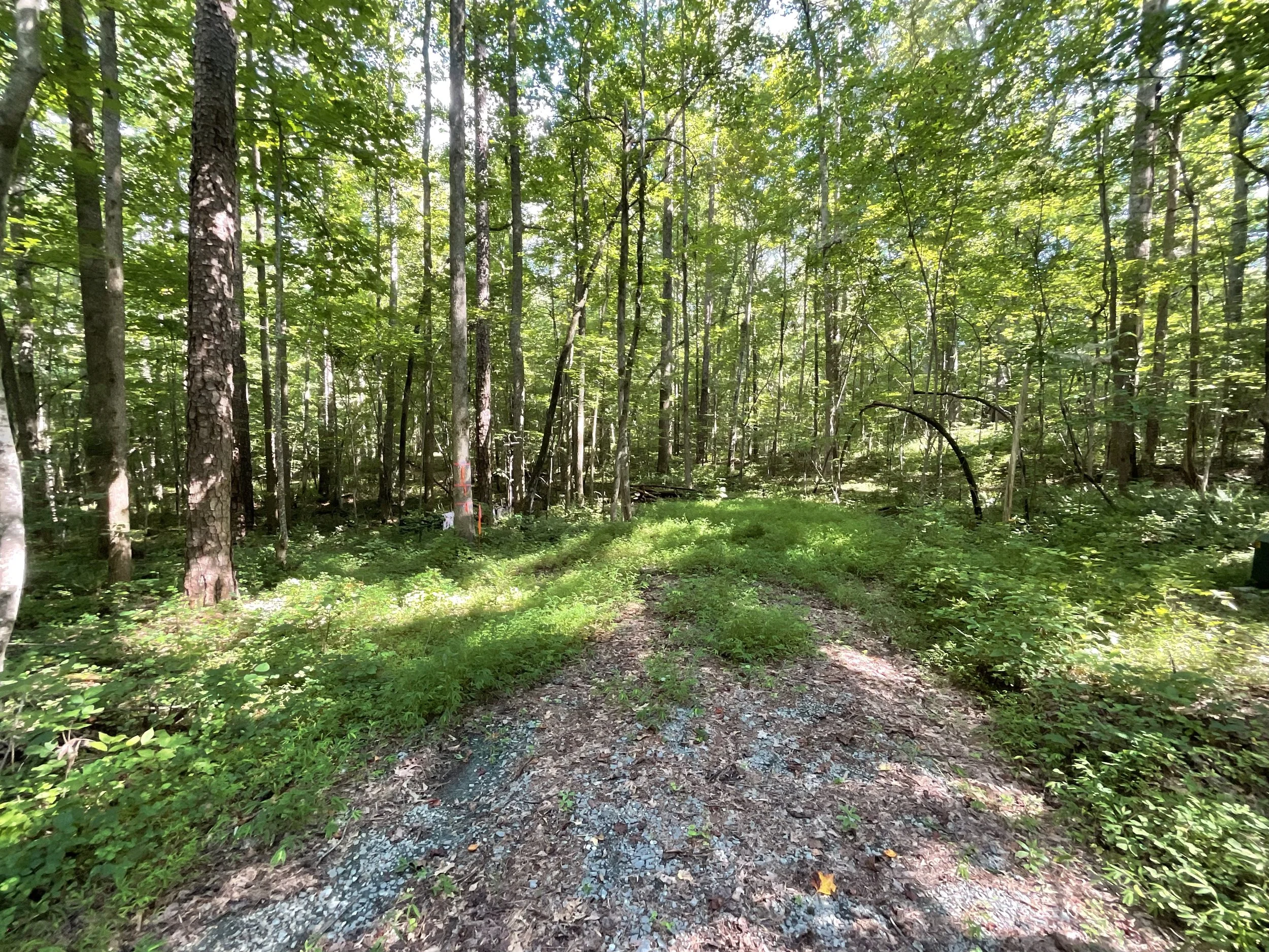 NEW: LOT 8 Preservation Forest Ln | Efland, NC