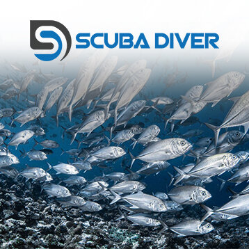 Scuba Diver.jpg