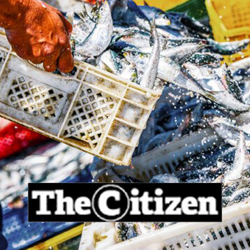 The Citizen.jpg