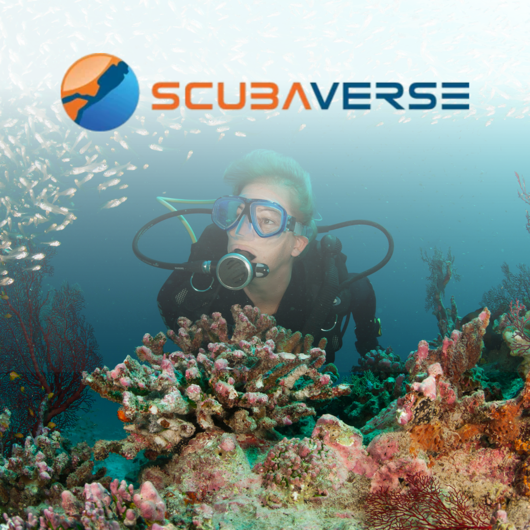 Untitled design-2.png