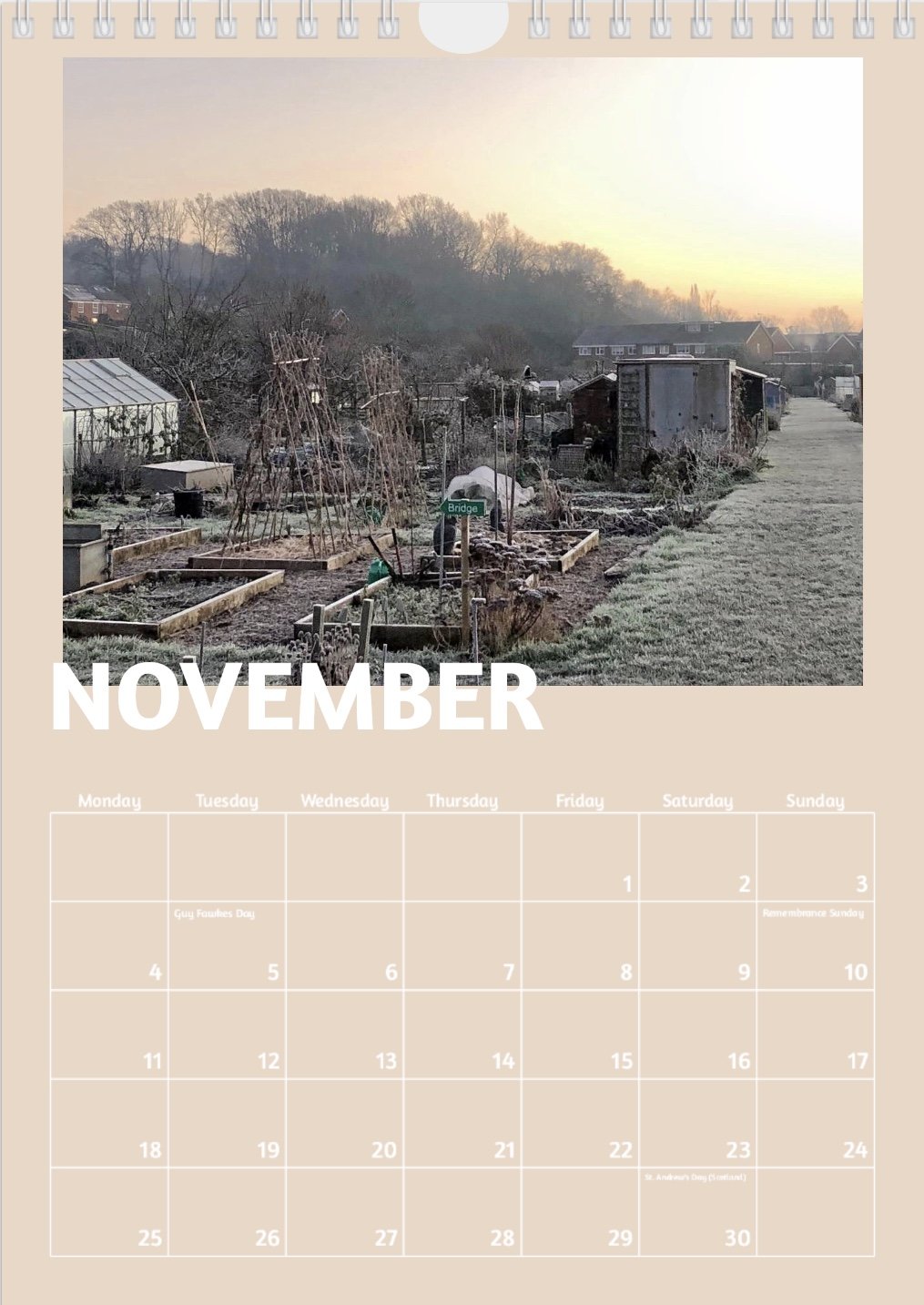 Nov.jpg