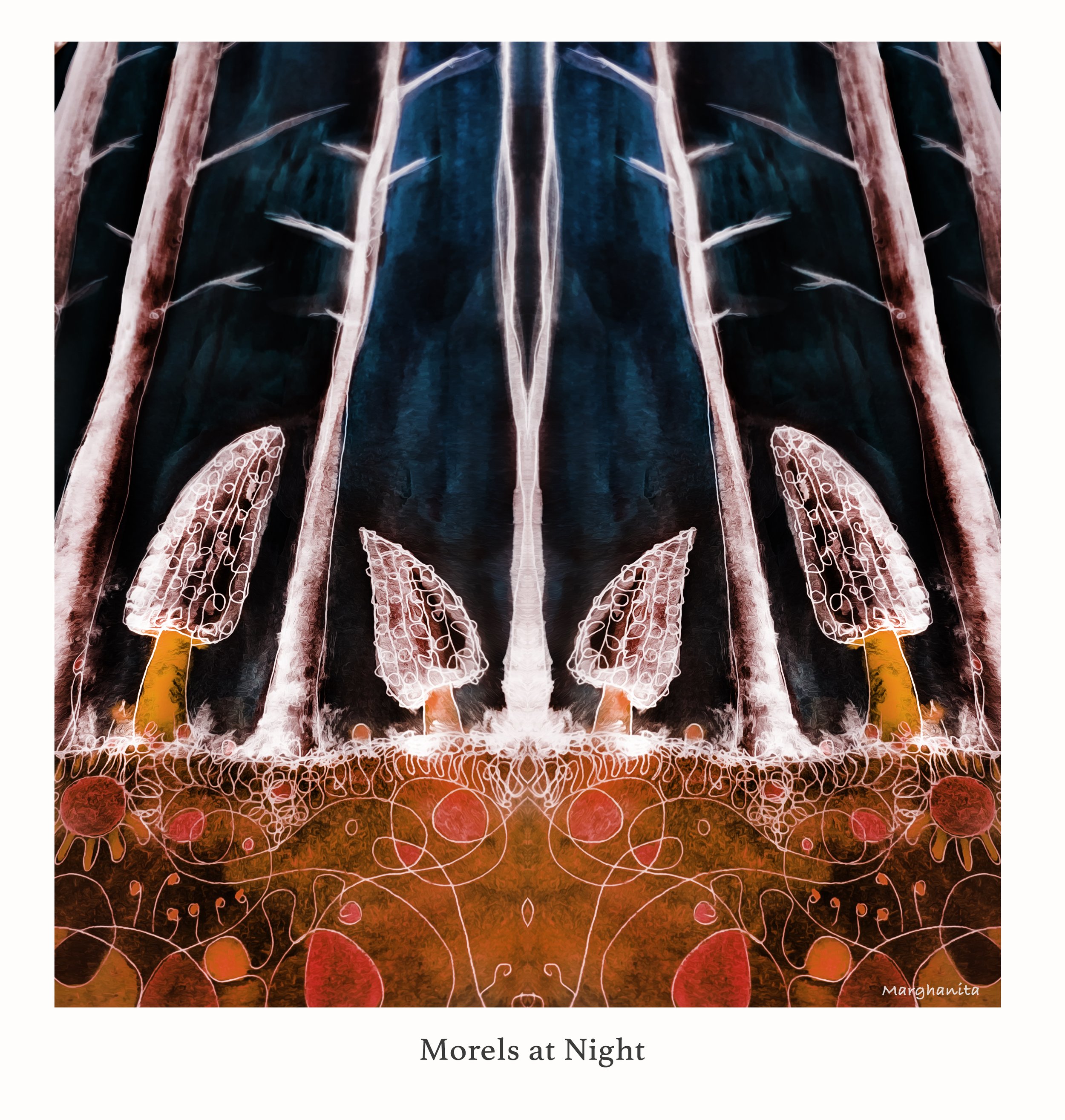 morels at night.jpg