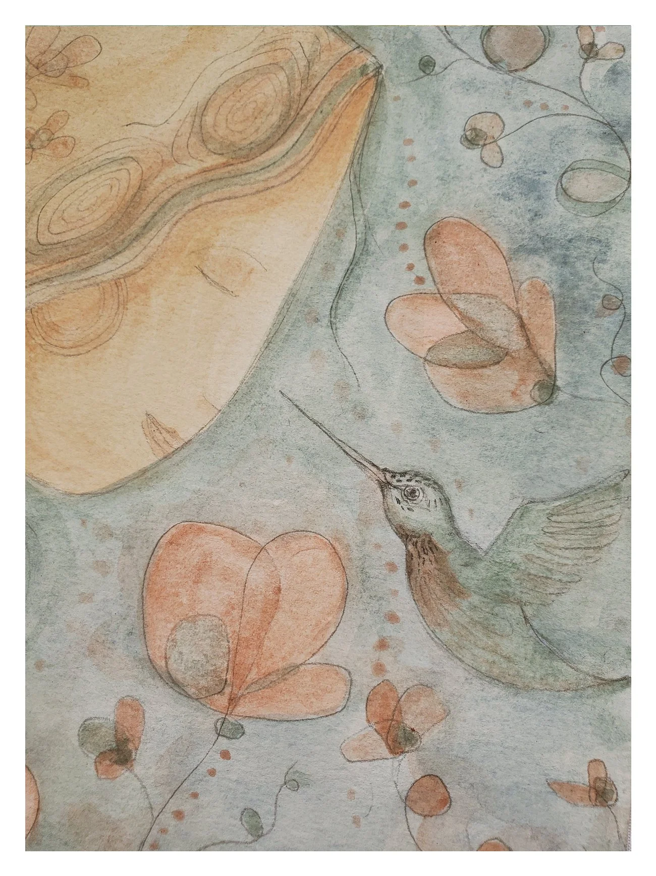 hummingbird.jpg