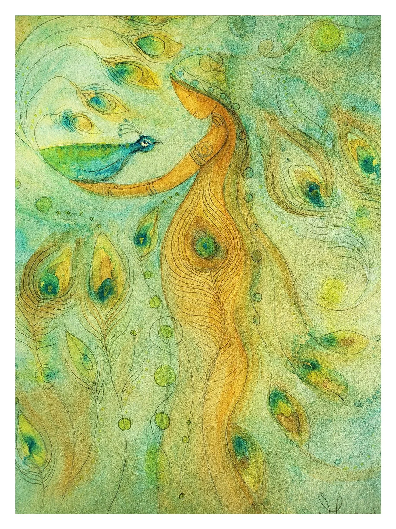 peacock2.jpg