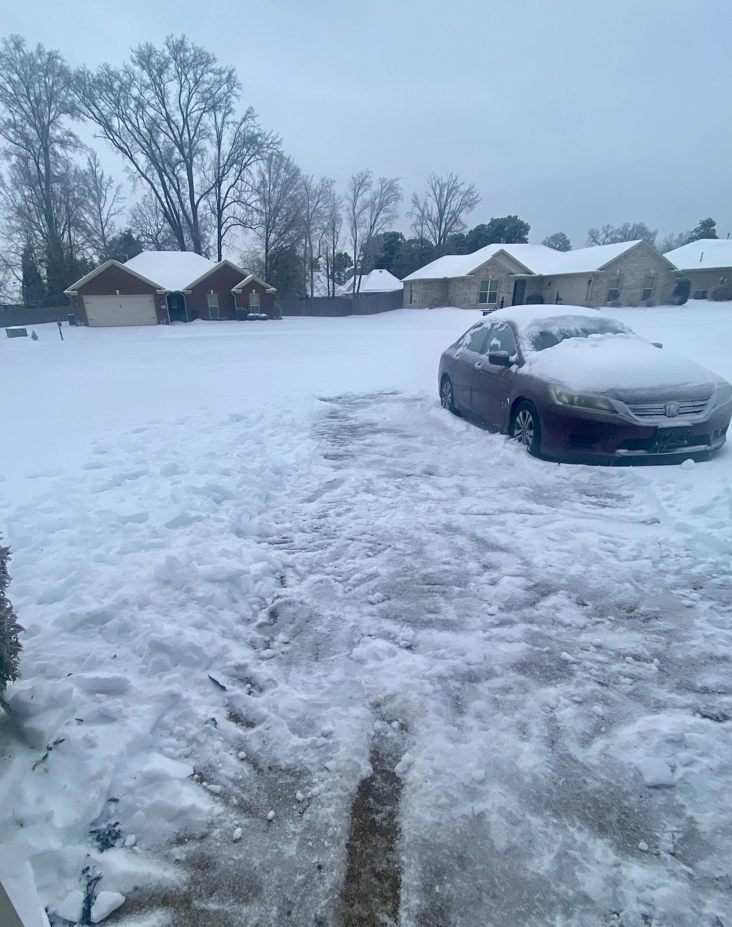  The 7th IACE annual conference went as scheduled despite massive Winter Storm Fern that dumped snow and ice on 35 U.S. states. The path of the storm stretched from west Texas to New England, and resulted in road closures and thousands of airline del