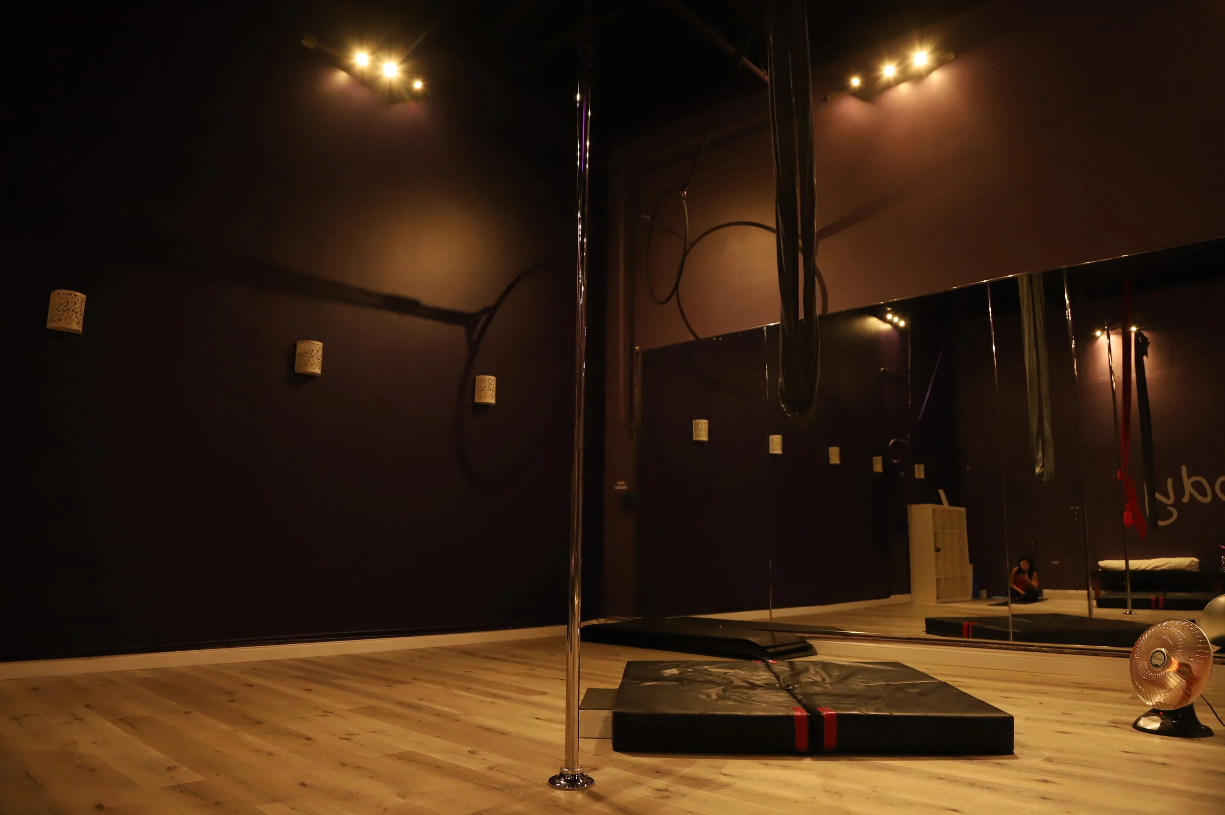 Will You... Come To My Pole Studio?