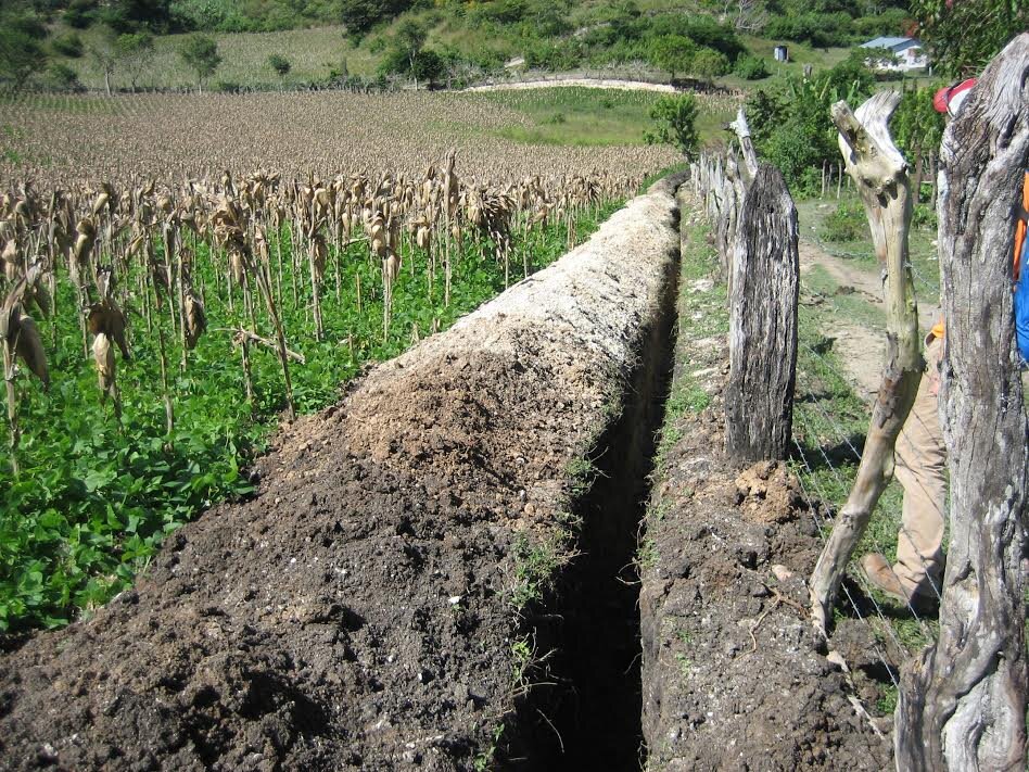 Pipe trench running through a field of corn and beans.