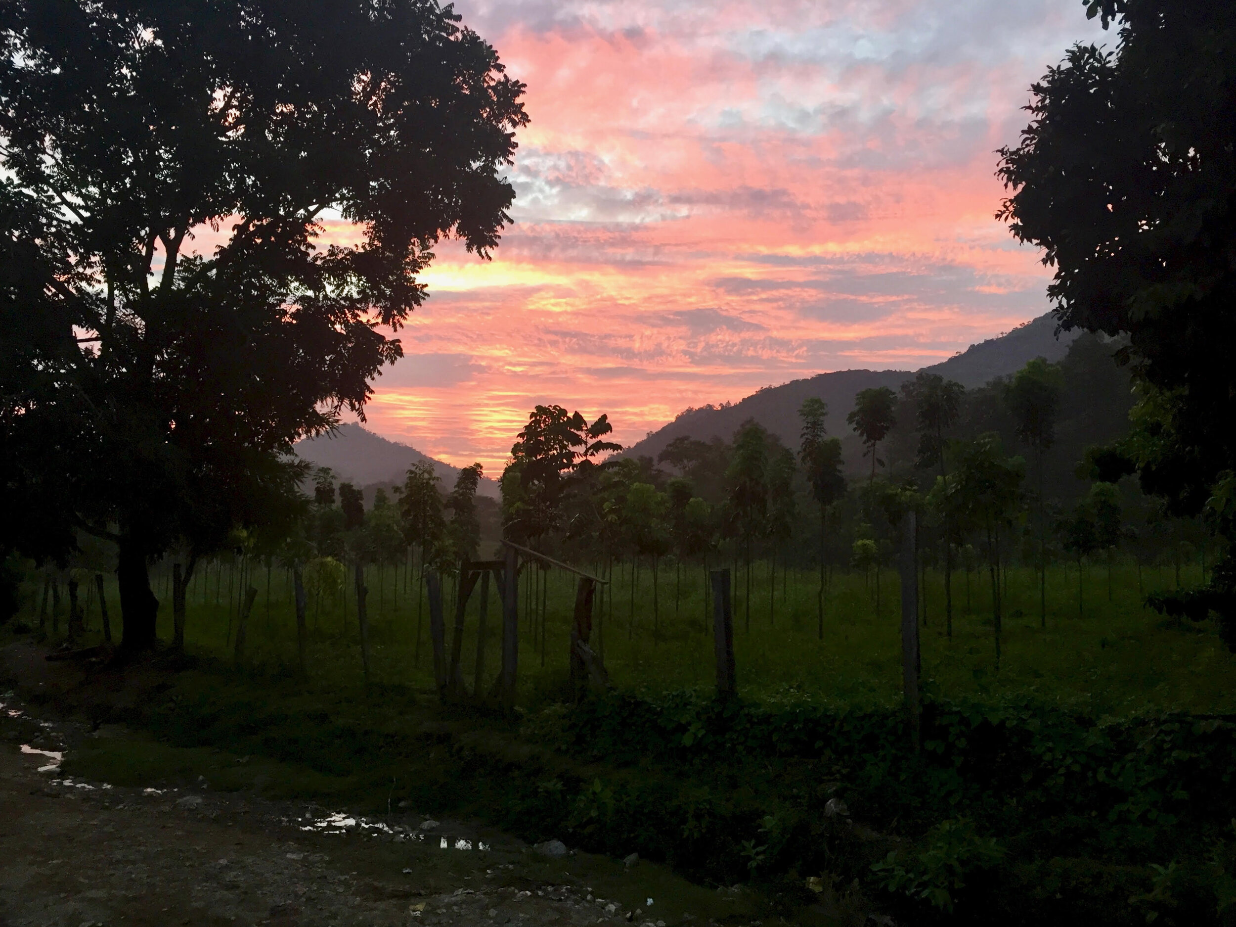 A new dawn for pesticide safety, cancer prevention, and environmental health in El Rosario and surrounding communities.