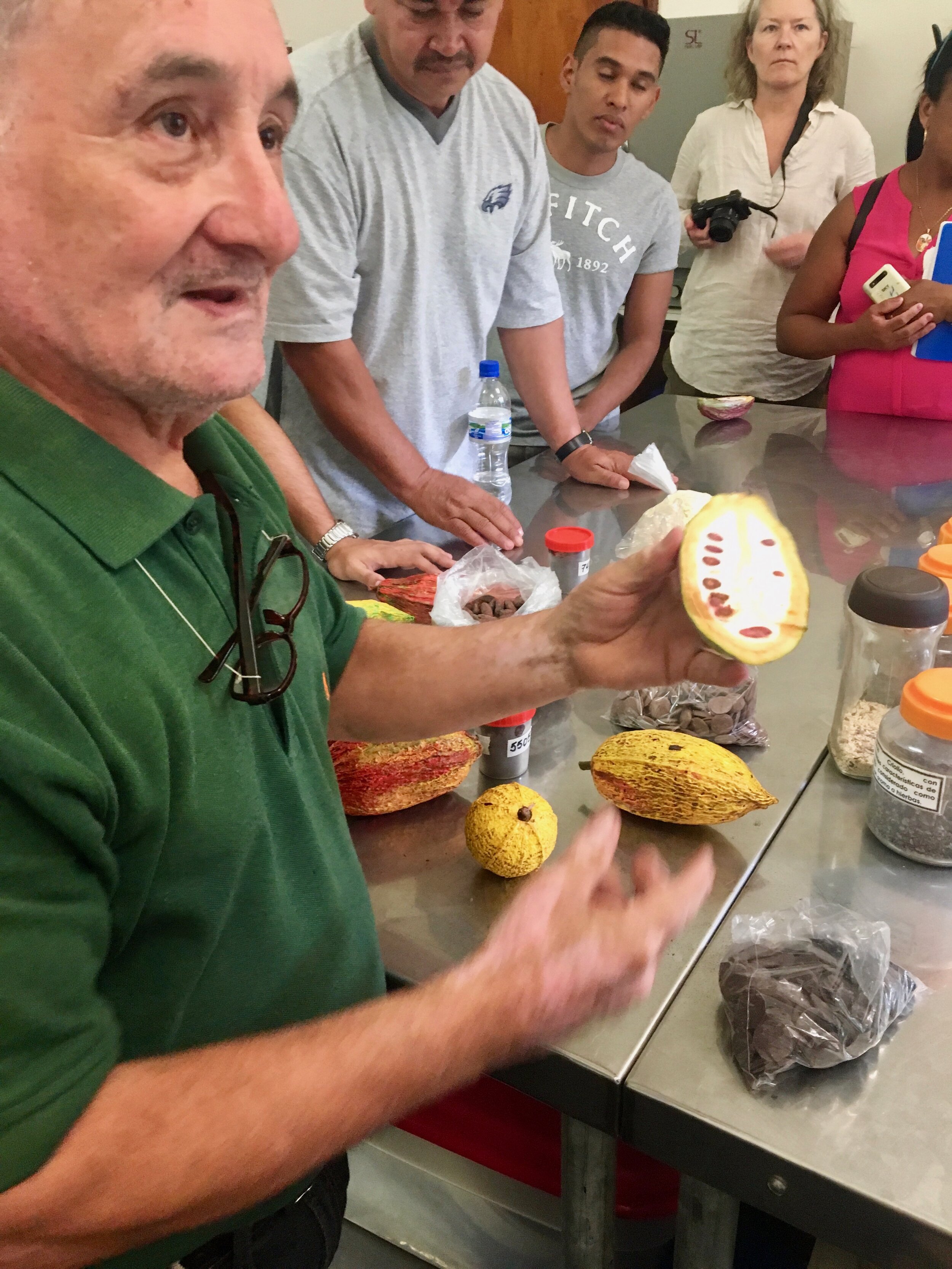 M.Sc. Hector Aguilar reviewing different species of cacao.