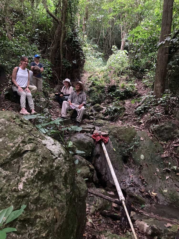  In the afternoon we went to the Mejia family fuente where Nelson’s dad, with great foresight, had abandoned the growing of corn and left the trees to grow.&nbsp; In 1987.&nbsp; The water source is significant and the forest is cool and damp.&nbsp; E