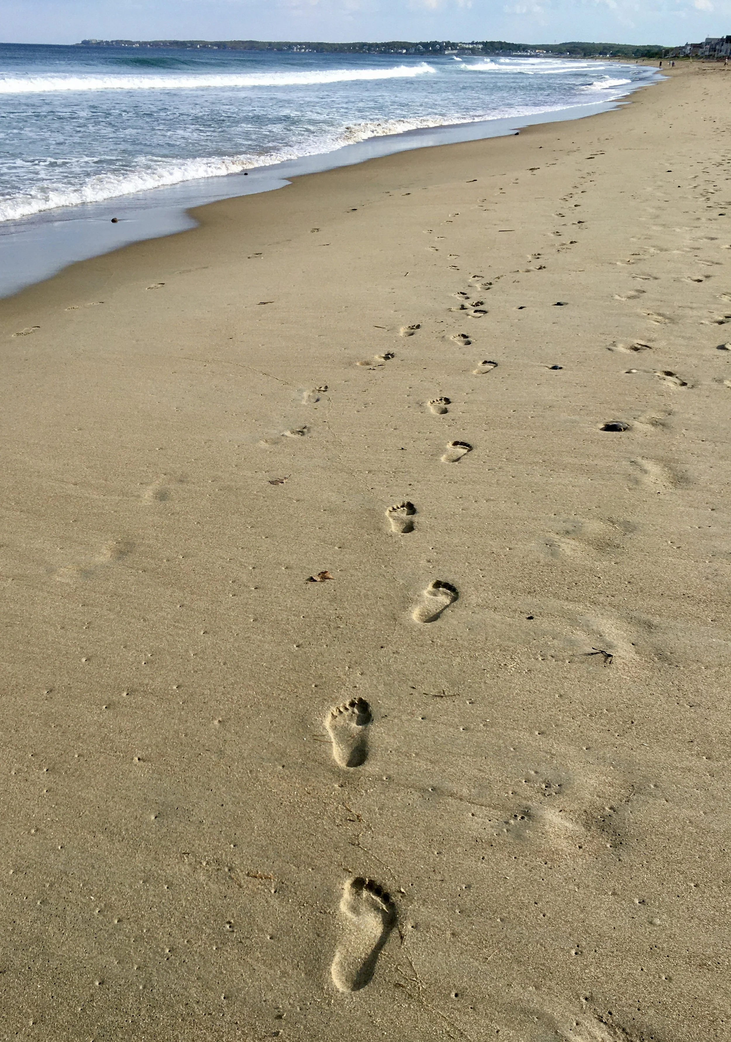 Patience, Purposeful Action, and Faith: The True Path to Your Dreams