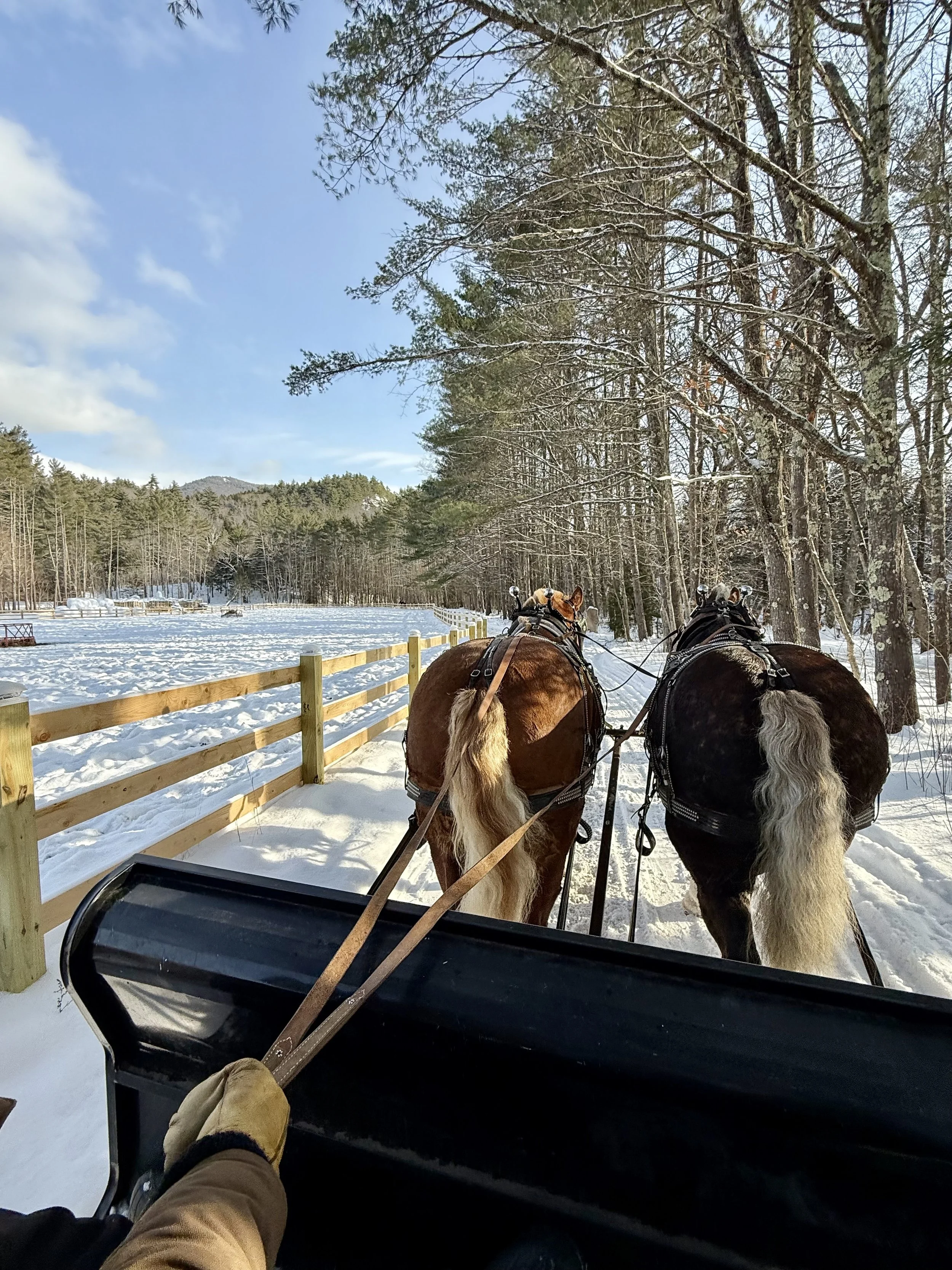 The Story You See—and the One You Don’t:                 A Reflection on Perspective