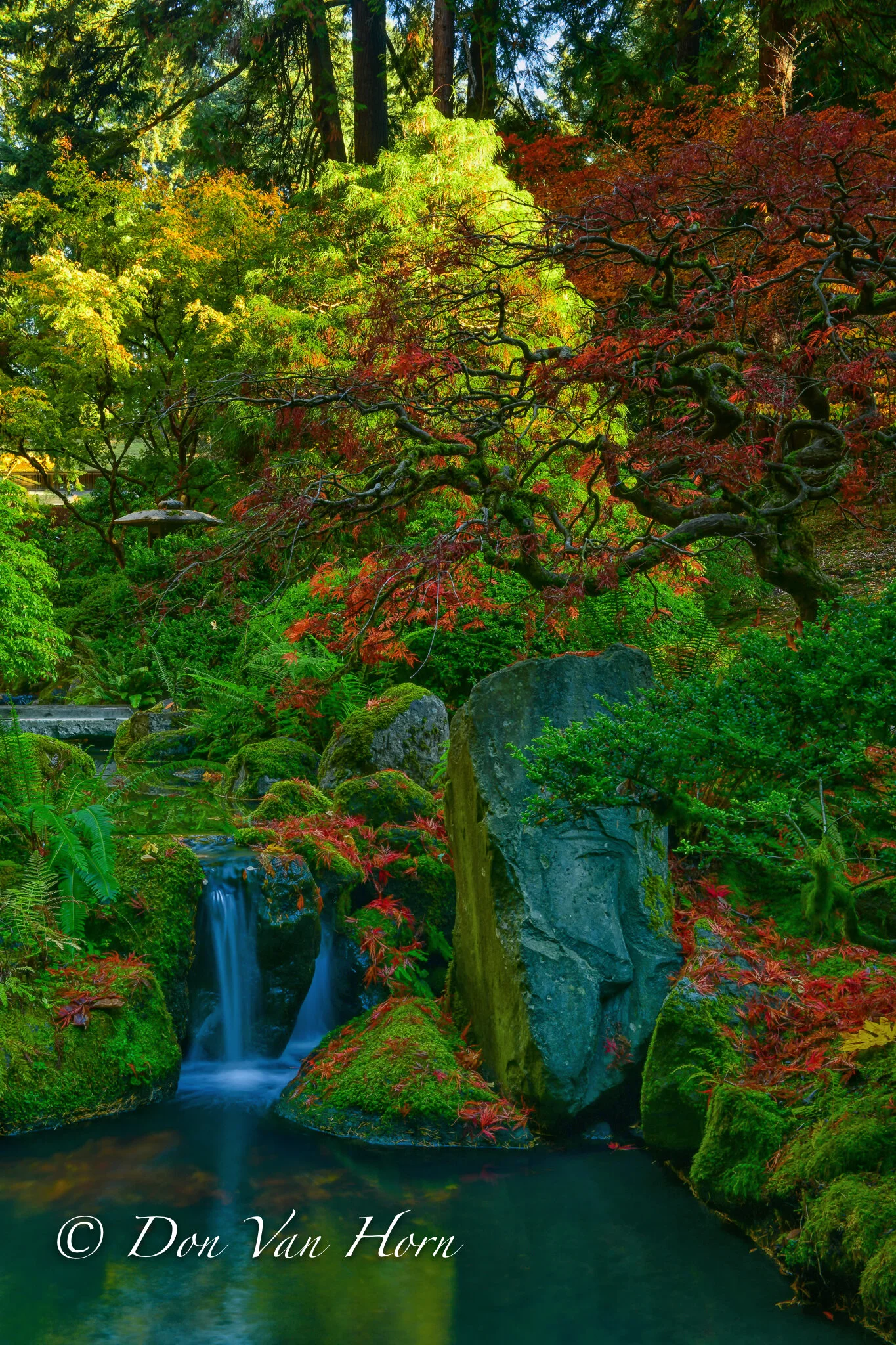 DV2_8376-Edit-2.JPG