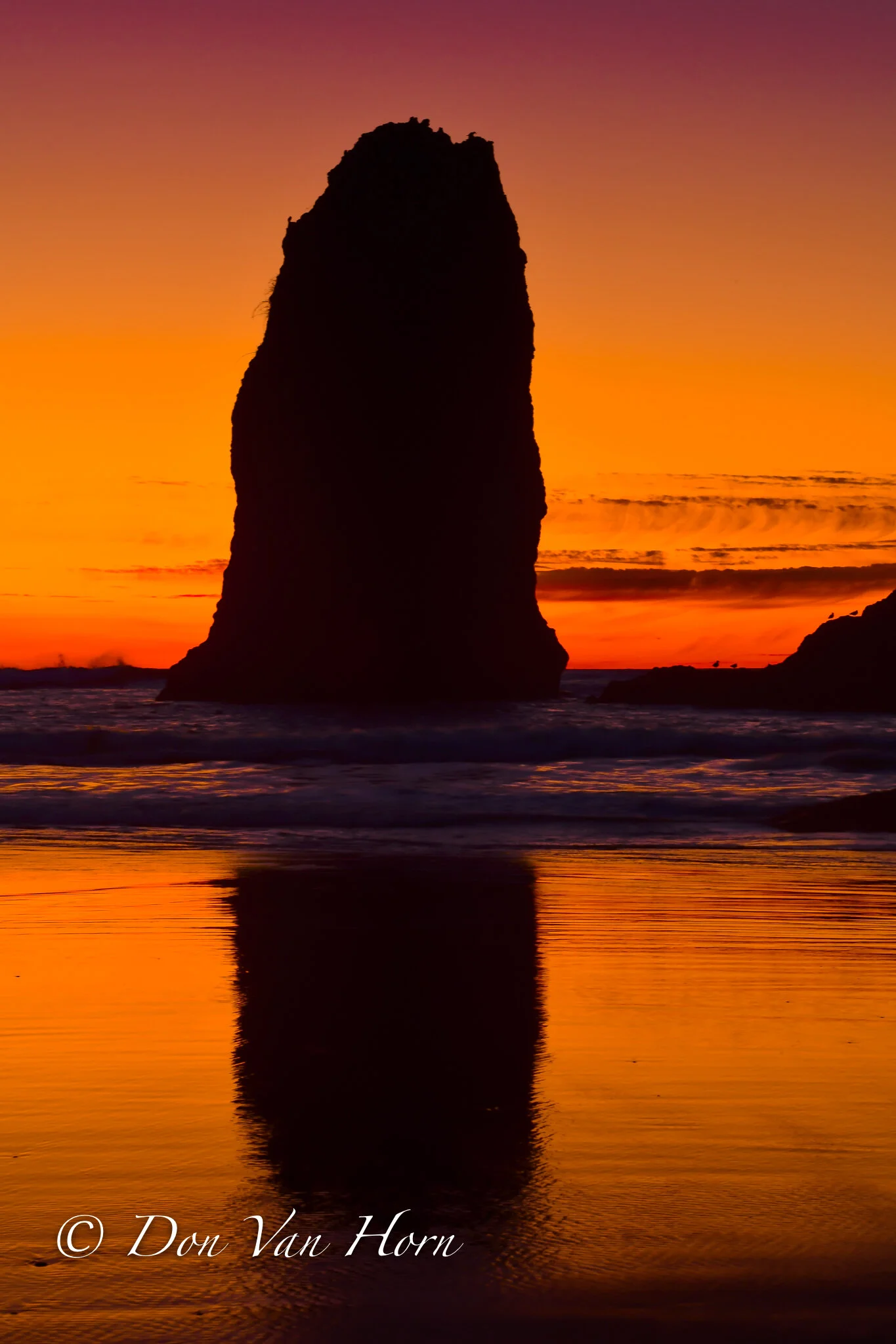 Cannon Classic ( Vertical)