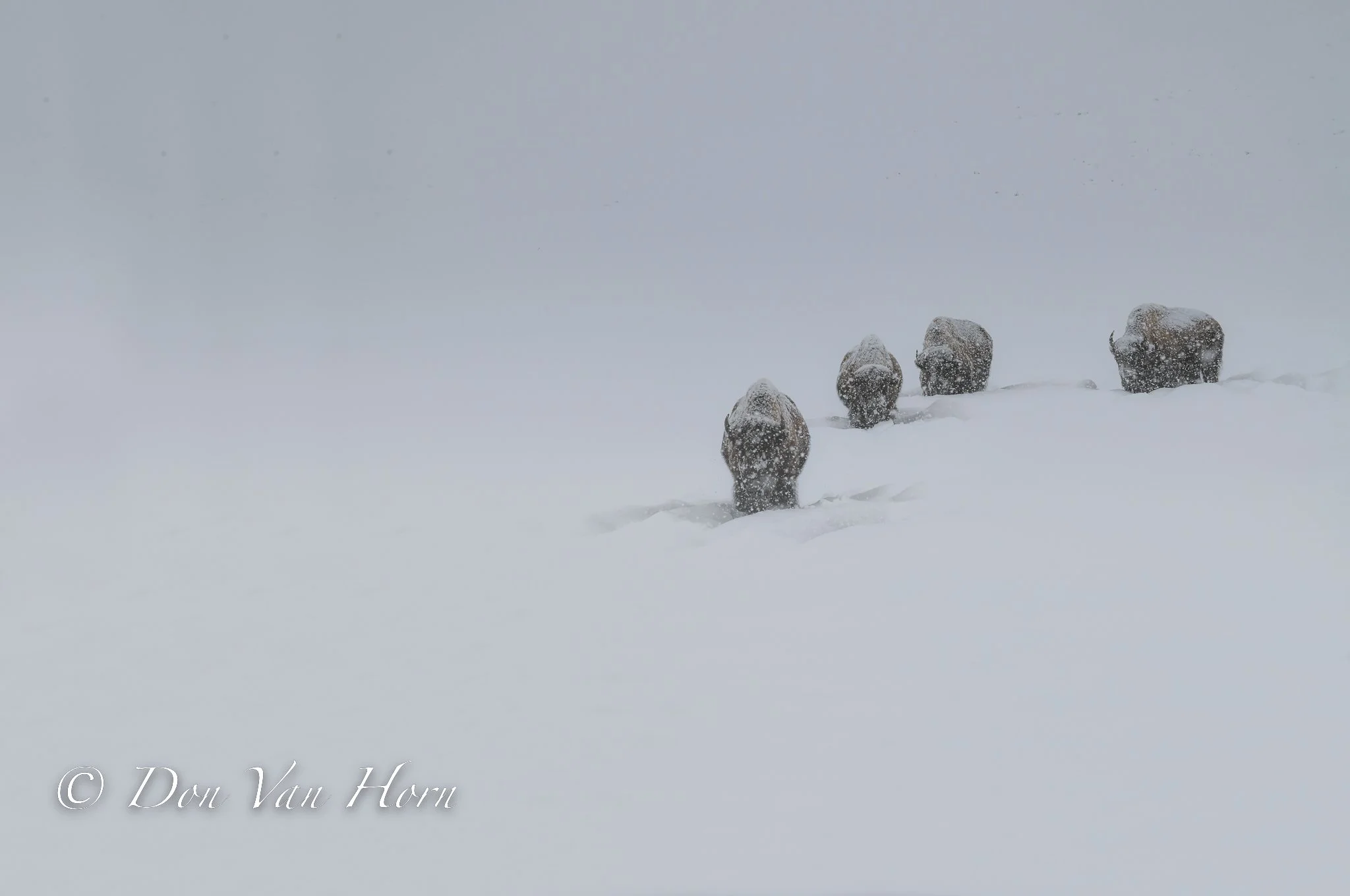 DSC_0044-Edit-Edit.jpg
