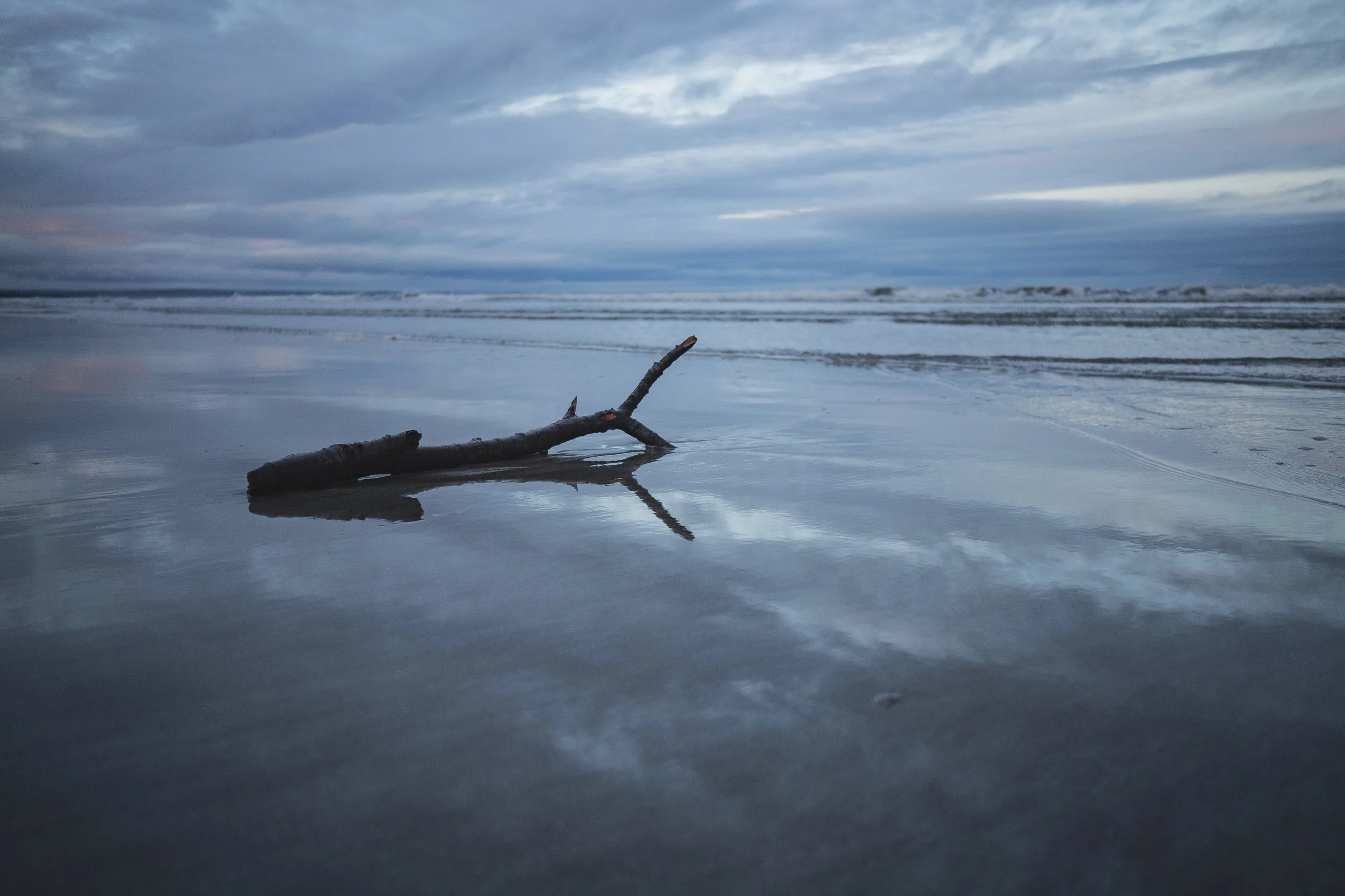 Review: The House Between Tides by Sarah Maine