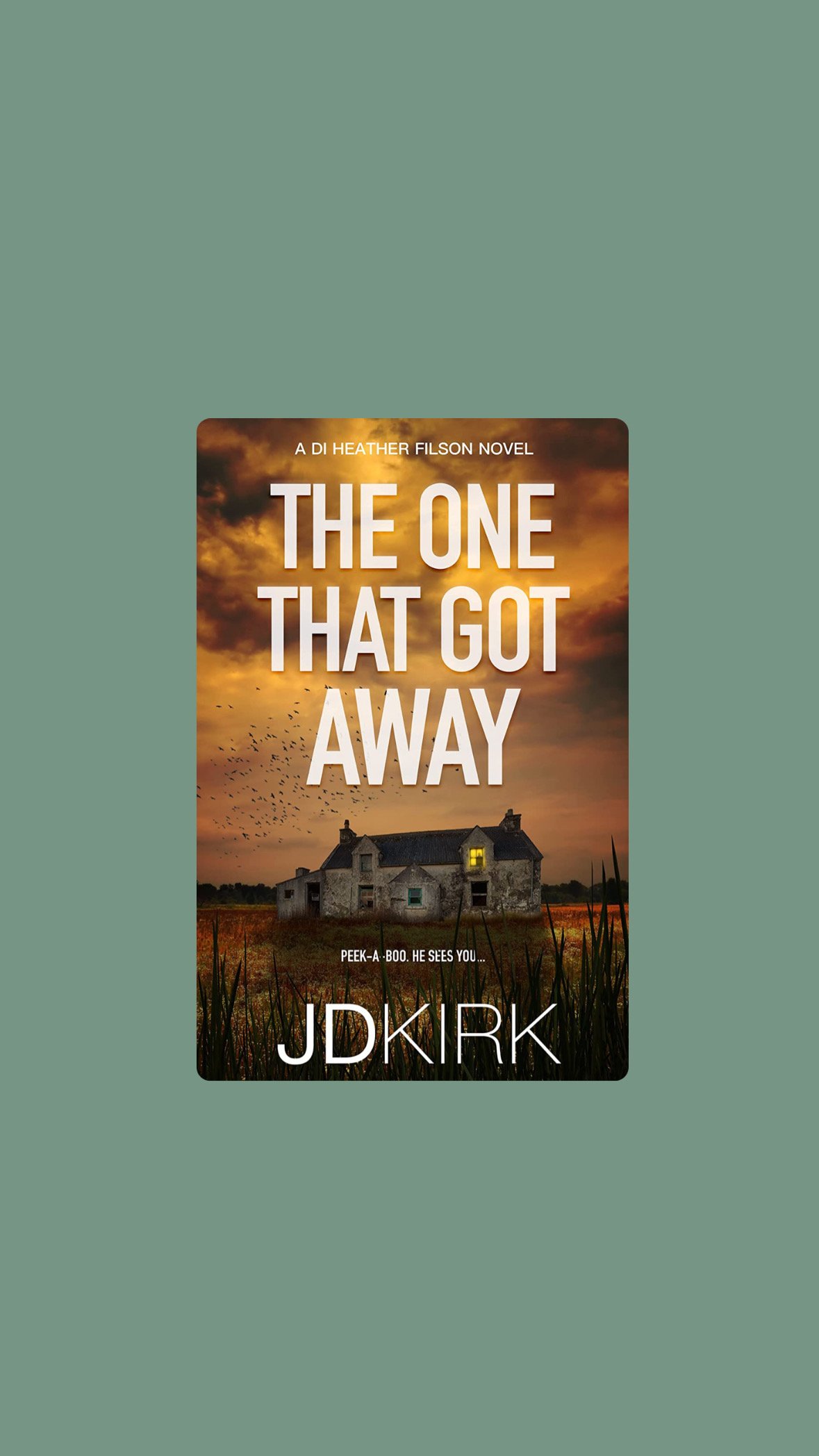 Review: The One That Got Away by JD Kirk