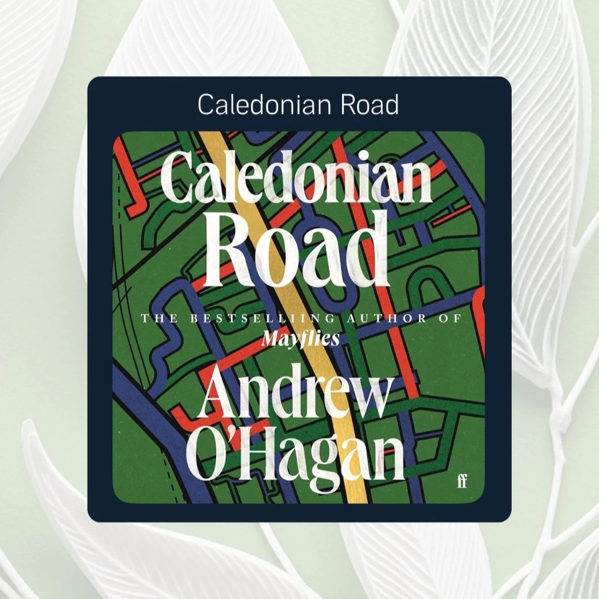 Review Caledonian Road by Andrew O'Hagan — Fee Reads