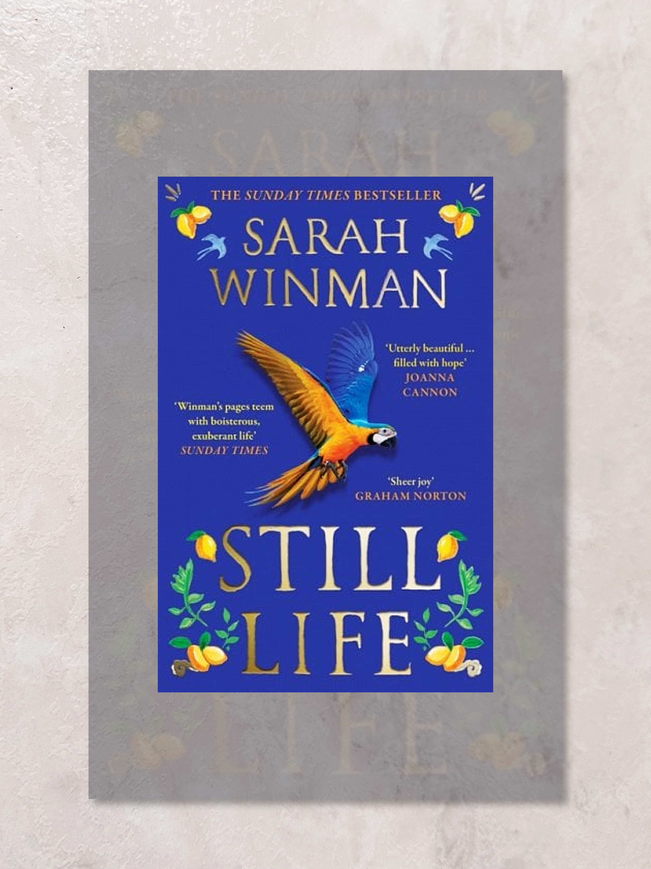Rapid Review: Still Life, by Sarah Winman