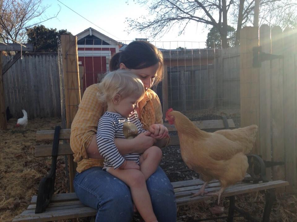 buddy the wonder chicken.jpeg