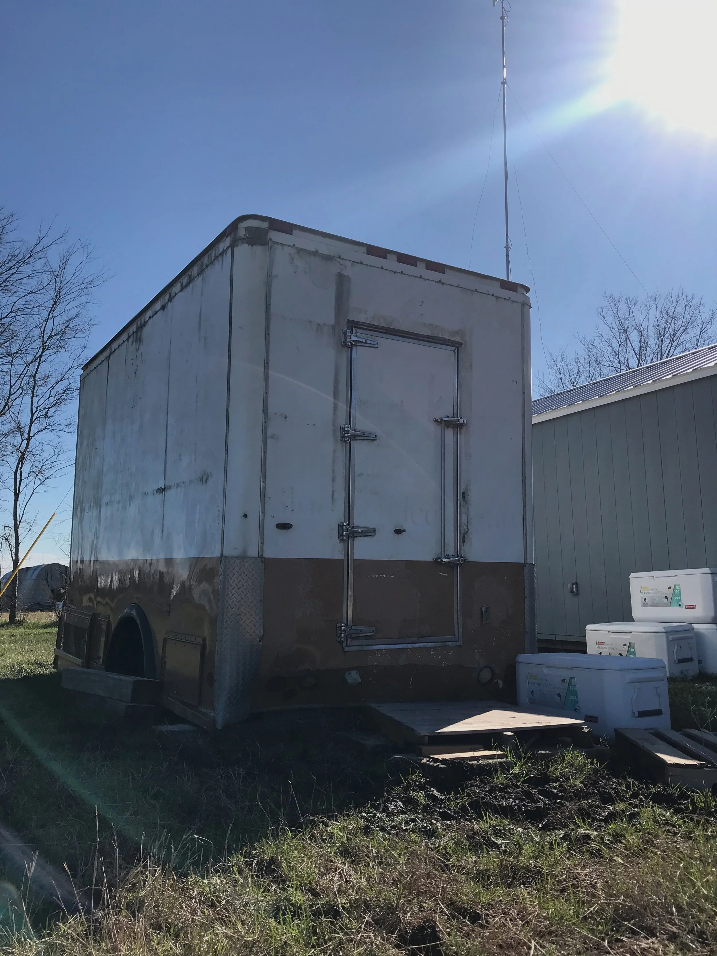 Needless to say, we have a ton of freezer space, but we are actively working on outgrowing it! We are fully stocked with pasture-raised chicken and grass-fed, grass-finished beef.