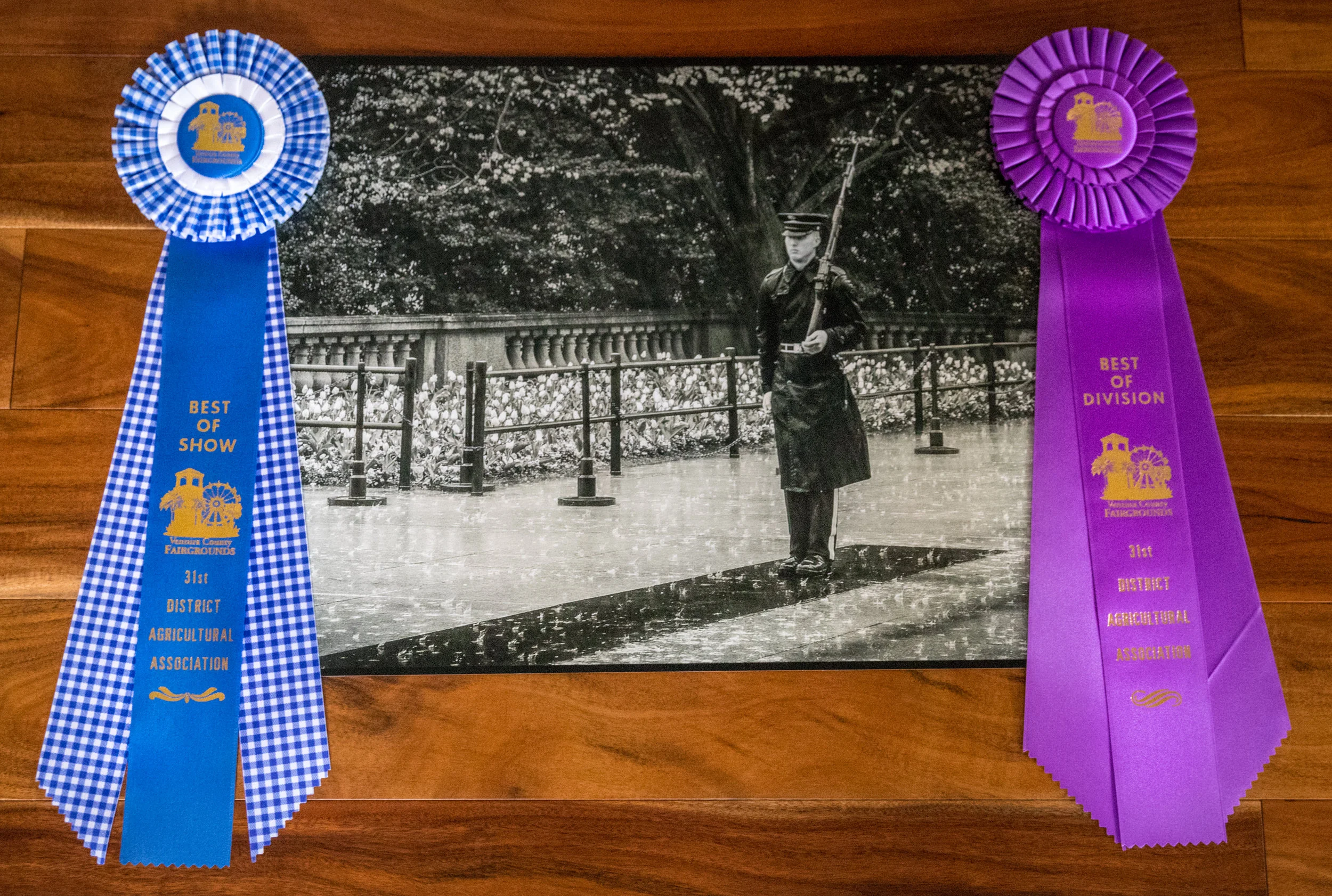 Black and white photograph of a woman standing outdoors on a rainy day, wearing a raincoat and holding an umbrella, with a railing, trees, and flowers in the background. Two award rosettes, one blue with the text "Best of Show" and one purple with the text "Best of Division," are attached to the photograph.