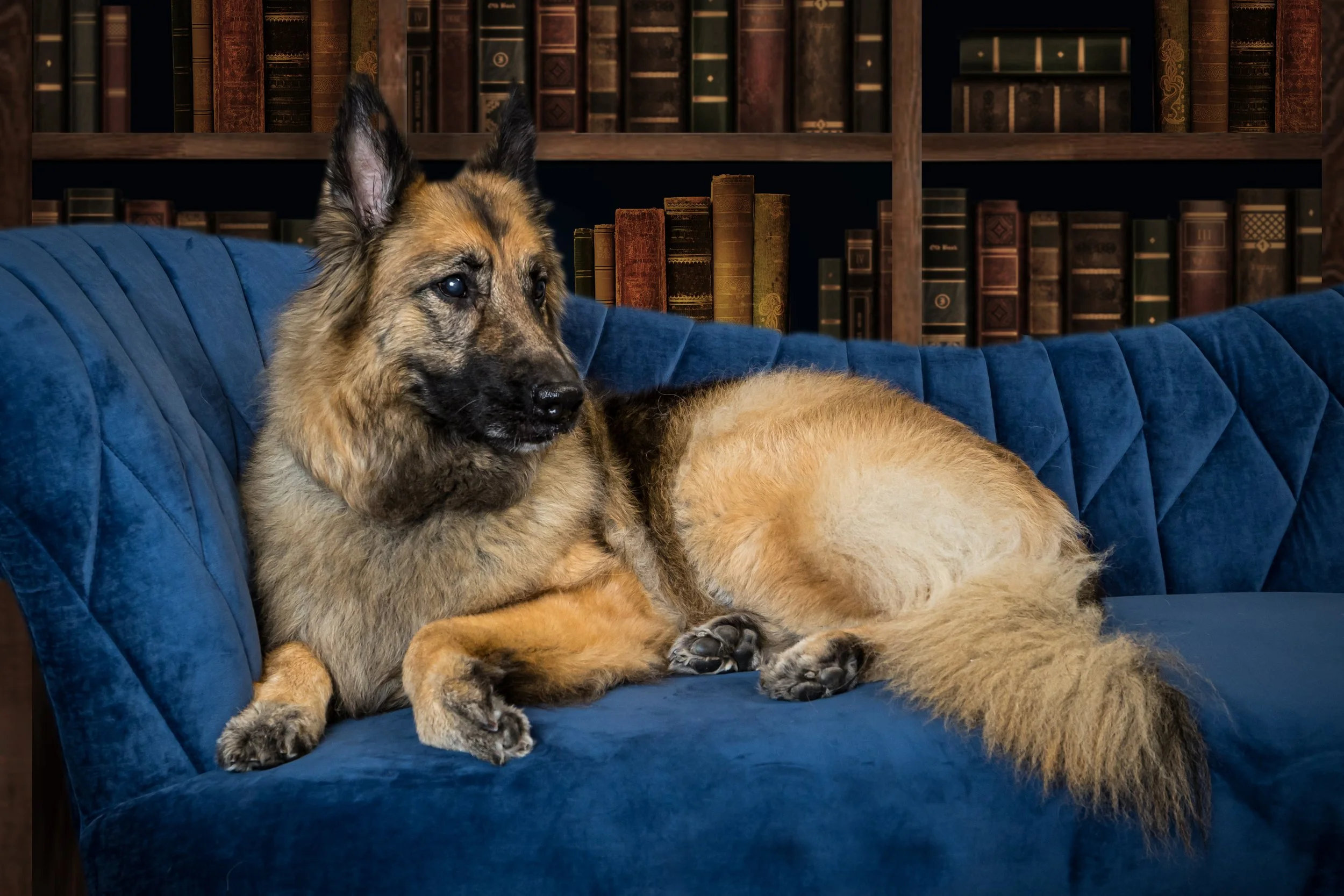 Liv and Hunter Session 02-17-24 016.jpg