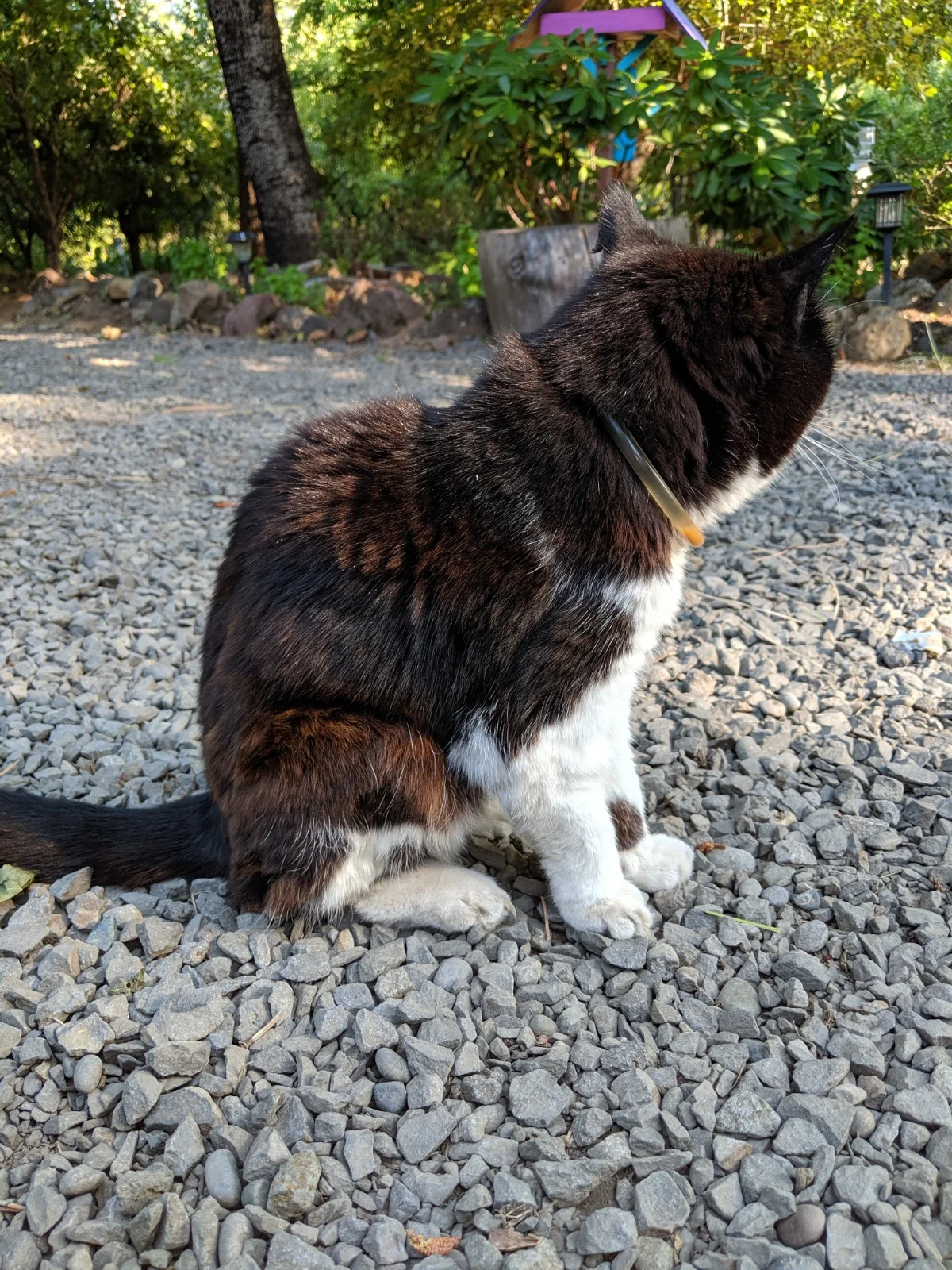 WhatsApp Image 2019-07-24 at 5.51.25 PM.jpeg