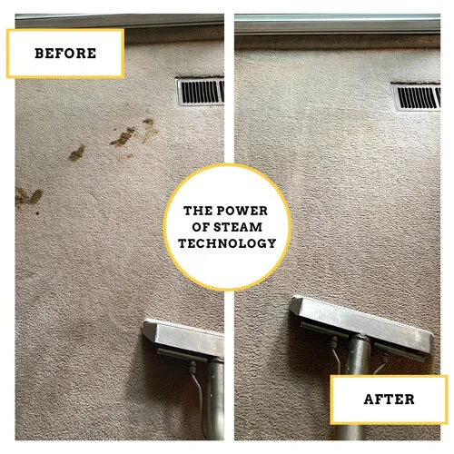 Carpet Cleaning Pricing Guide — The Blind Carpet Cleaner