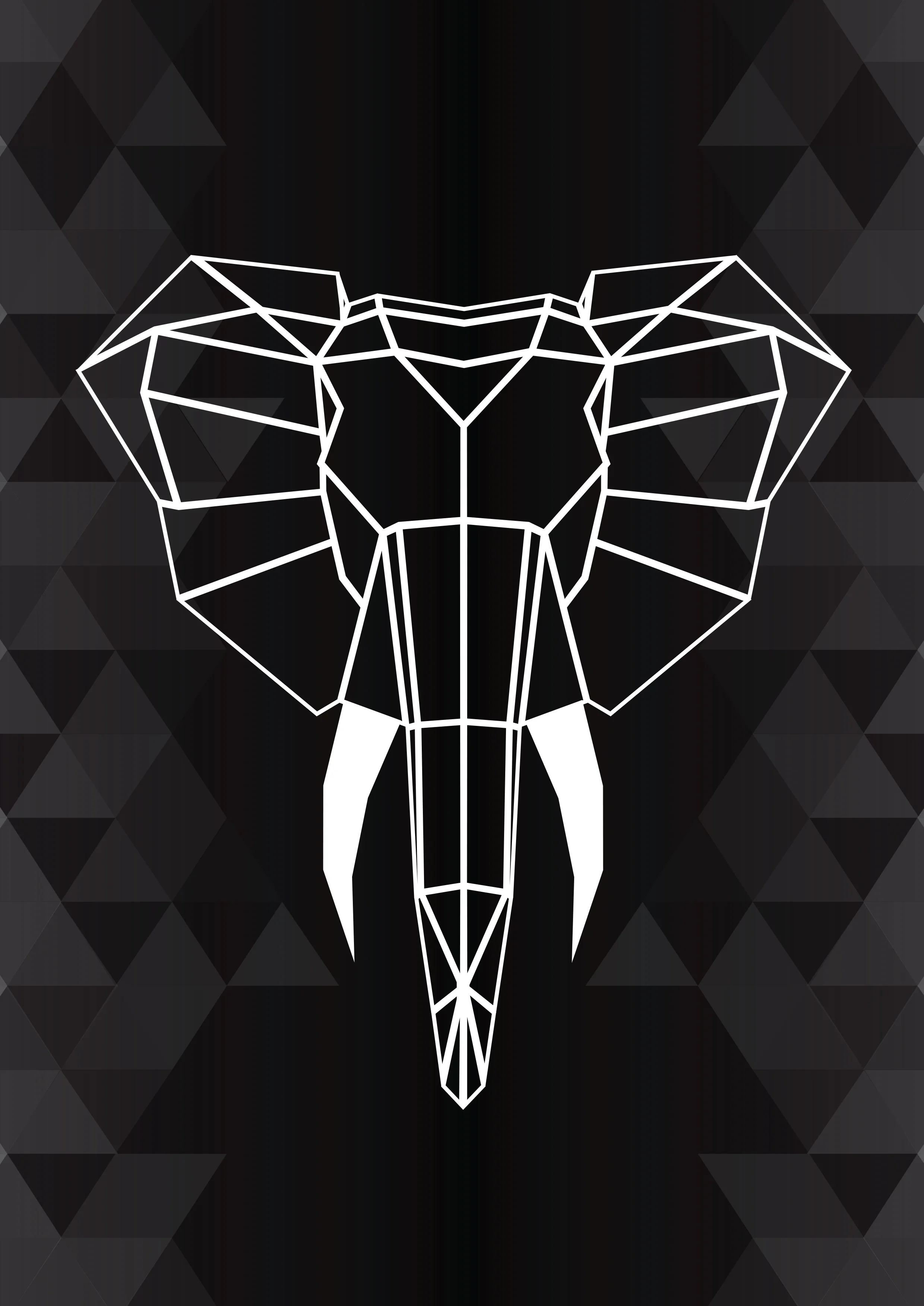 LFNT VAPOUROUND COVER.jpg