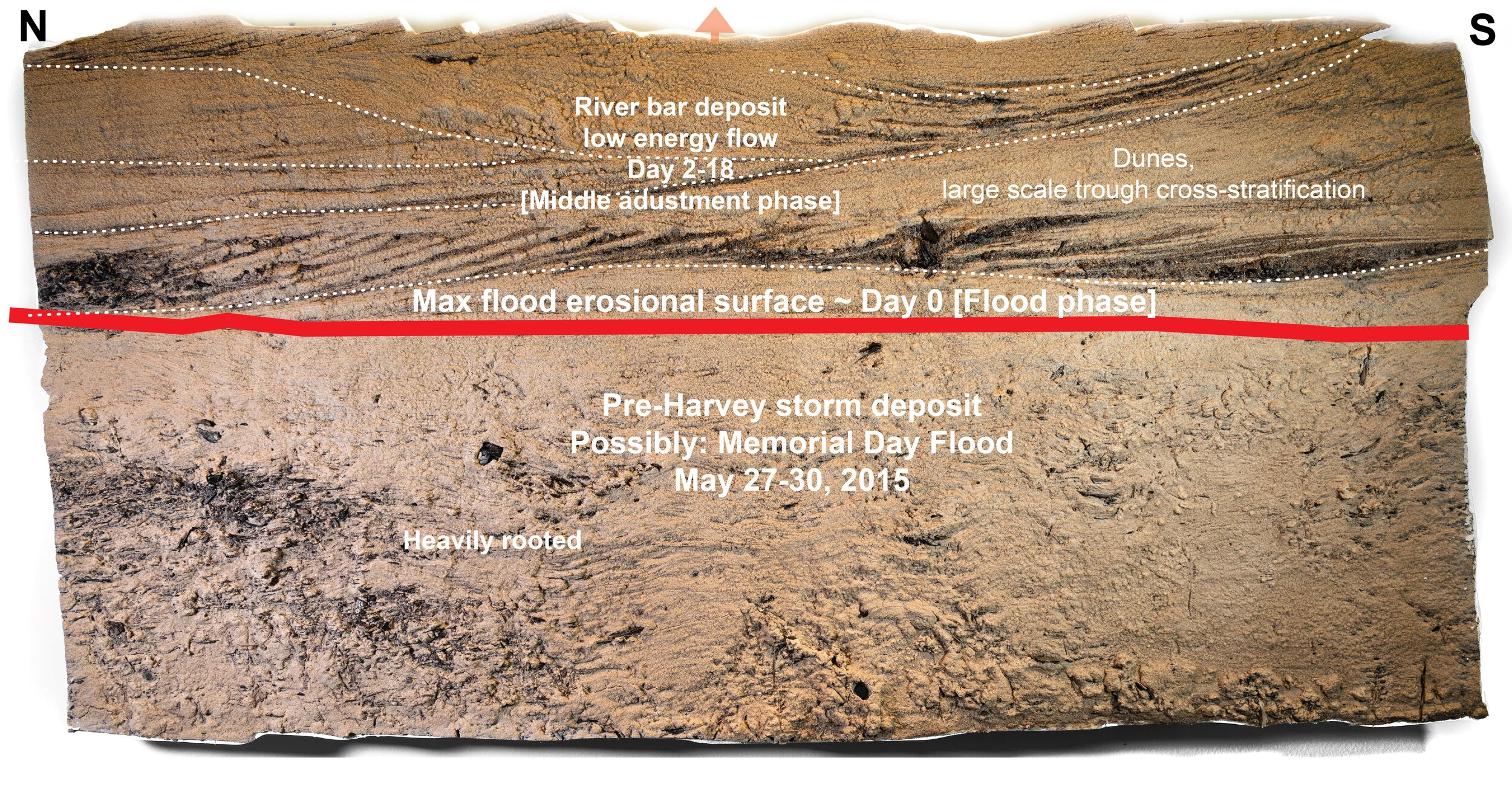 Plate 7B. Sand Peel Sculpture X Interpretation