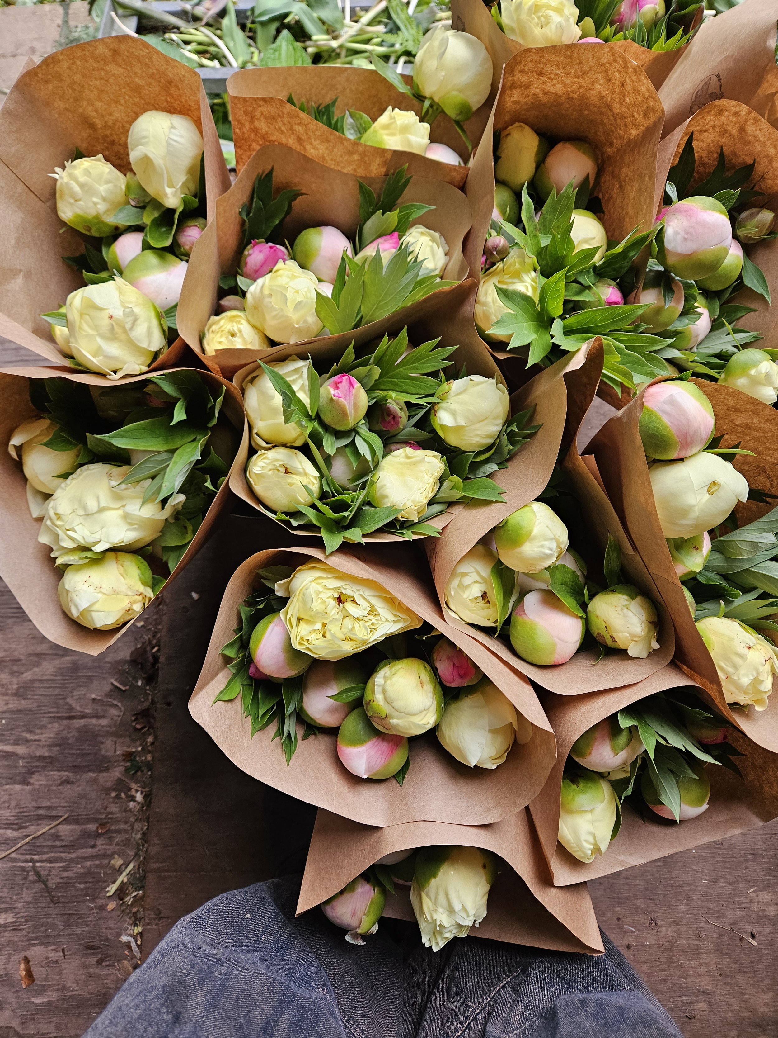 2026 Peony Subscription (3 Weeks)