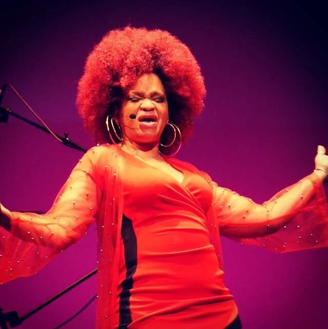 No Matter What- #CamilleYarbrough Show @schomburgcenter #blackhistorymonth #wcw &bull;
📸 @damirock_visuals 🎤 Gha&rsquo;il (Award winning #spokenwordartist )
&bull;
&bull;
&bull;
#documentaryphotographer #portraitphotographer #newyorkphotographer #b