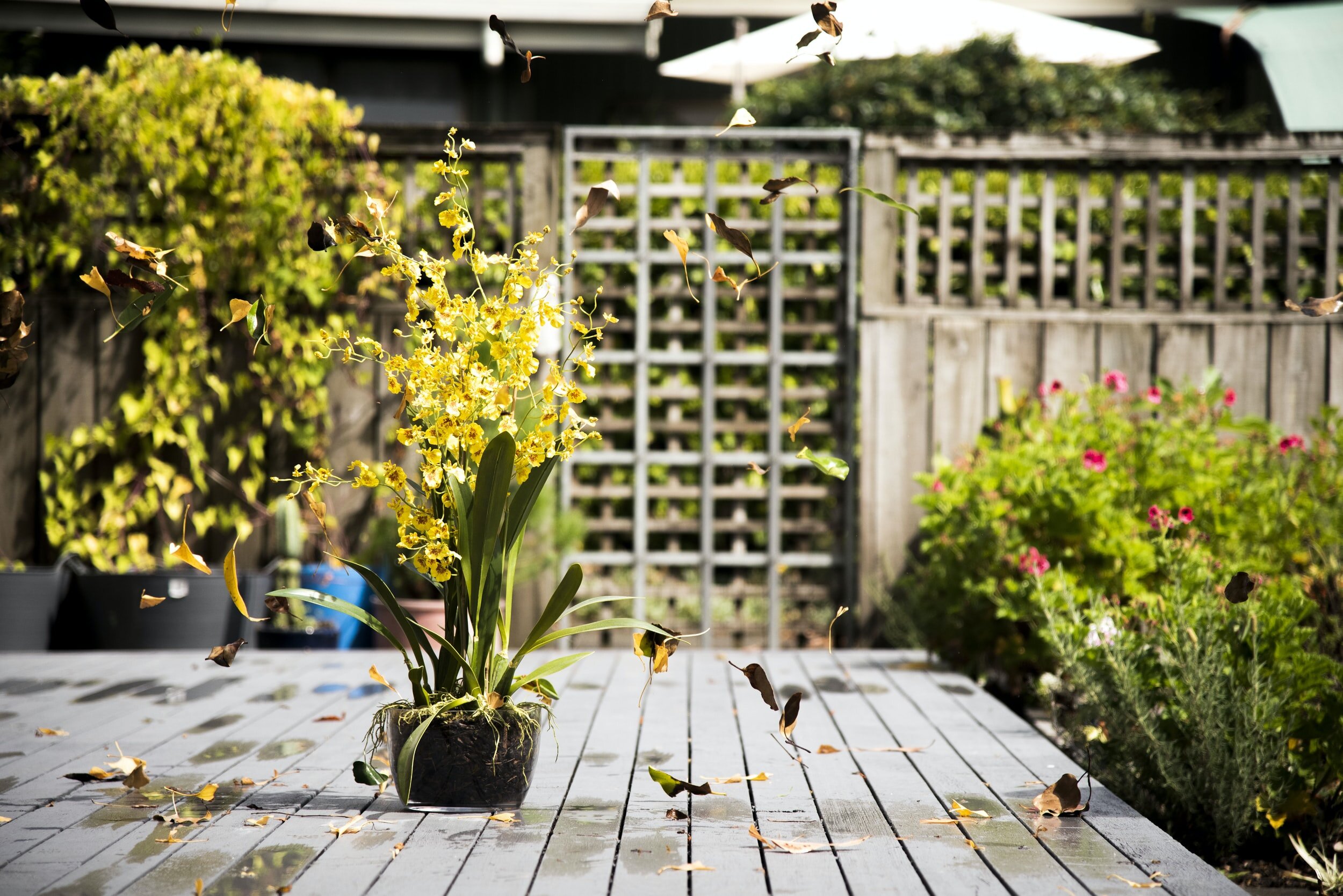 Medicines360 / Dr. Jessica Grossman