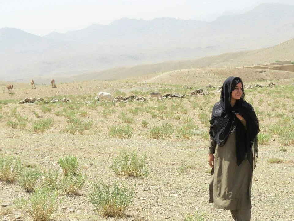 Wise Afghanistan / Alia Rasoully