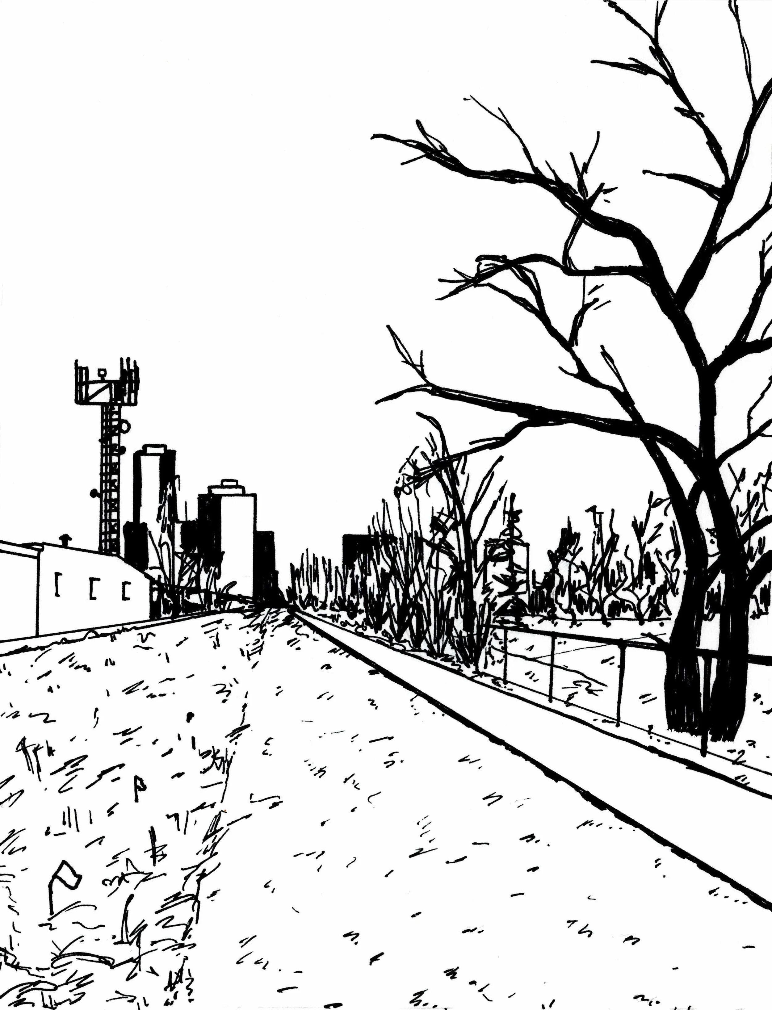 5. Pathway.jpg