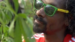 SNOOP LION REINCARNATED TRAILER