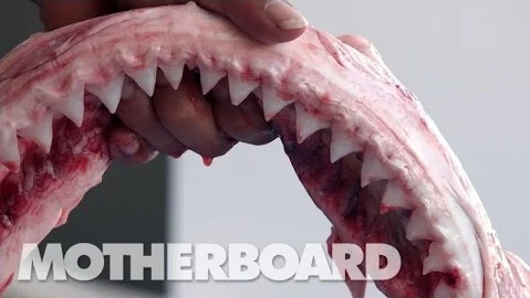 Surrounded: Island of the Sharks (Full Length)