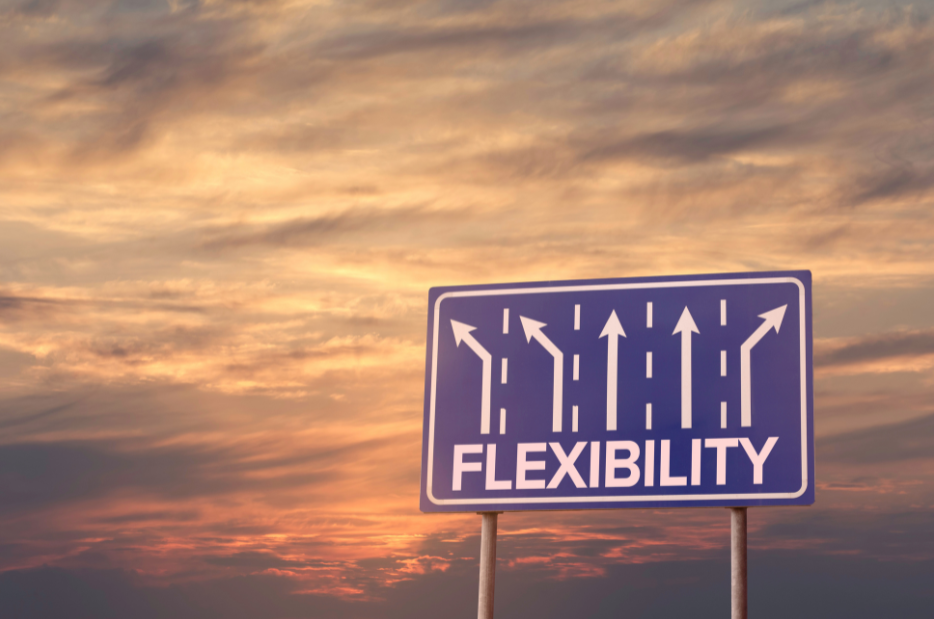 Blue road sign with the word 'FLEXIBILITY' and multiple arrows pointing in different directions, set against a sunset sky background.
