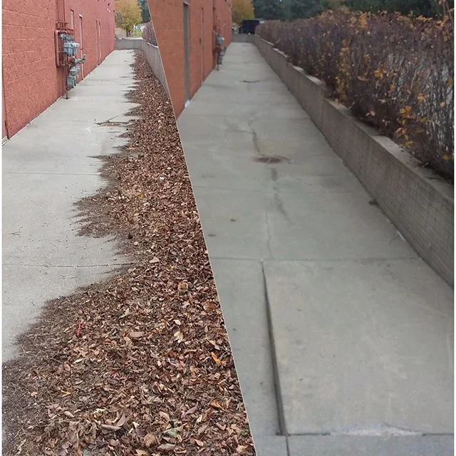 Neat &amp; tidy alley @3m_perimeter_management