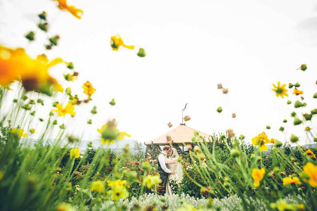 A photo of a bride and groom kissing, framed by beautiful yellow flowers