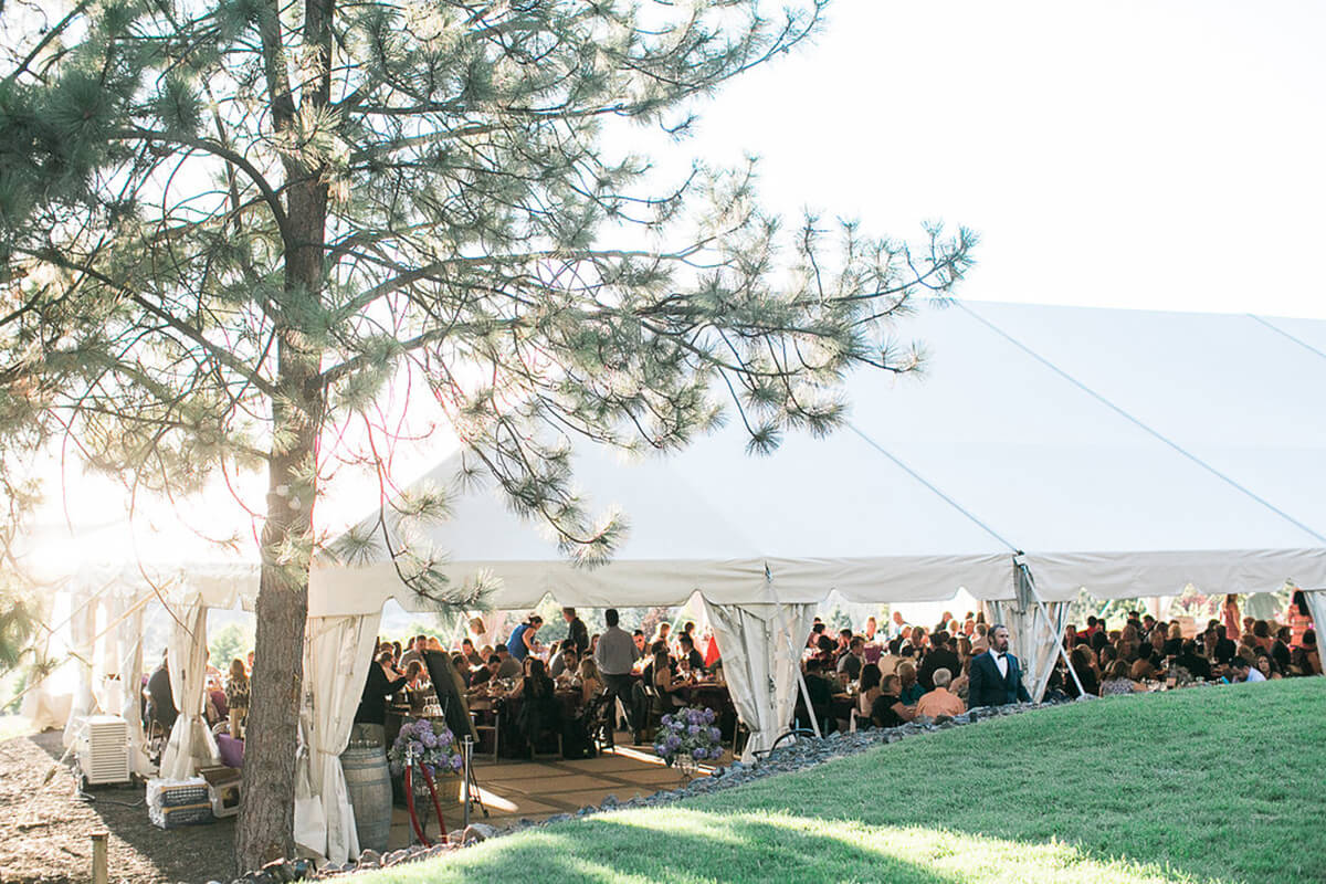 an external photo of the wedding tent, a group of people can be seen within and a tree frames the photo on the left side