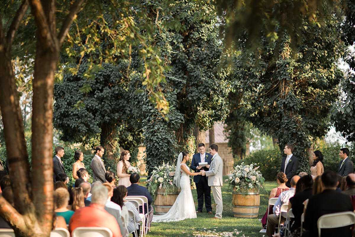 A photo of a couple at their wedding with trees framing the ceremony