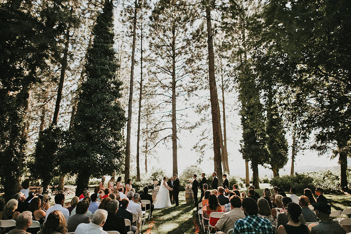 A photo of a wedding ceremony with the top 3/4ths of the photo dominated by tall pine trees